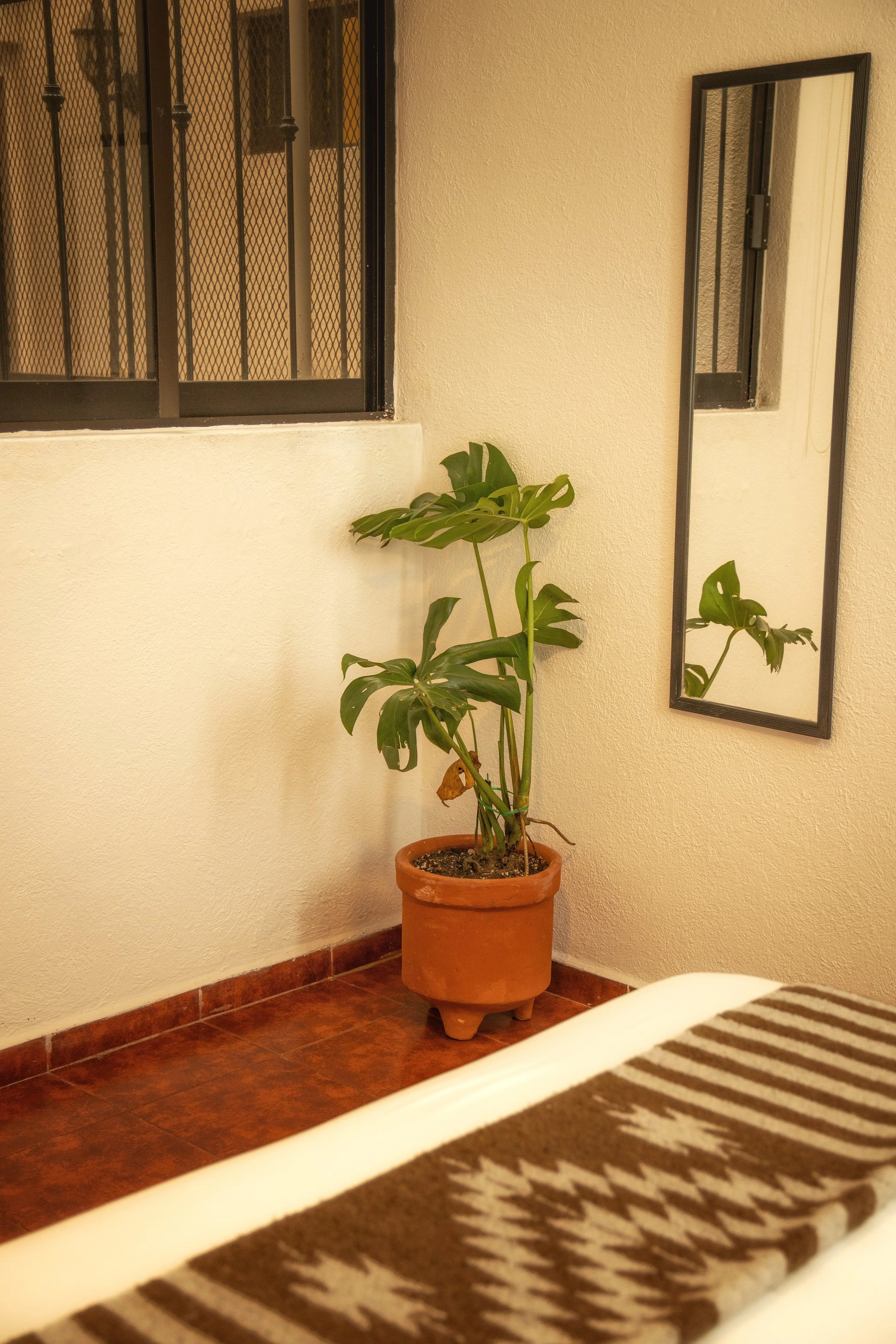 DSC09953.jpg
