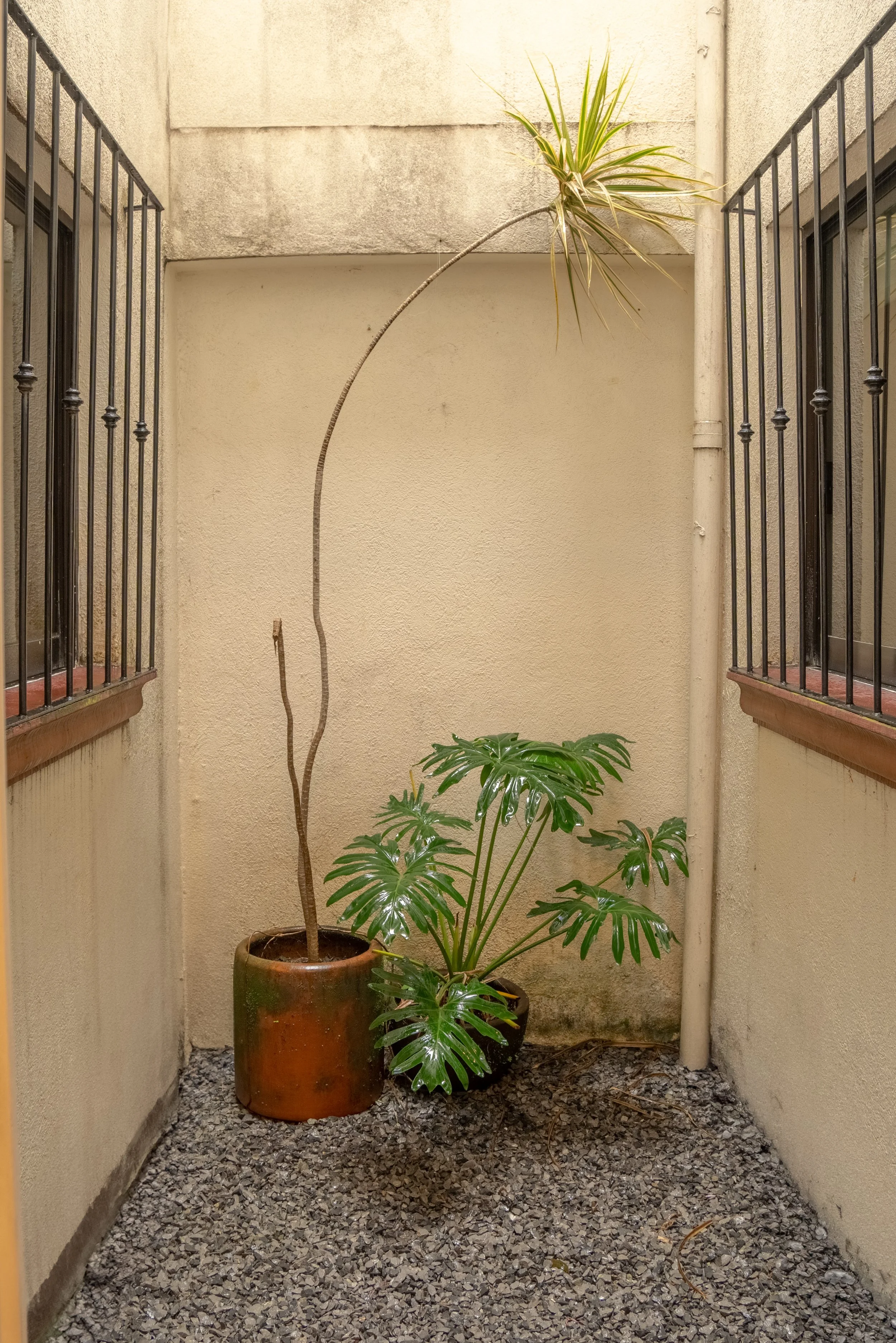 PASILLOS