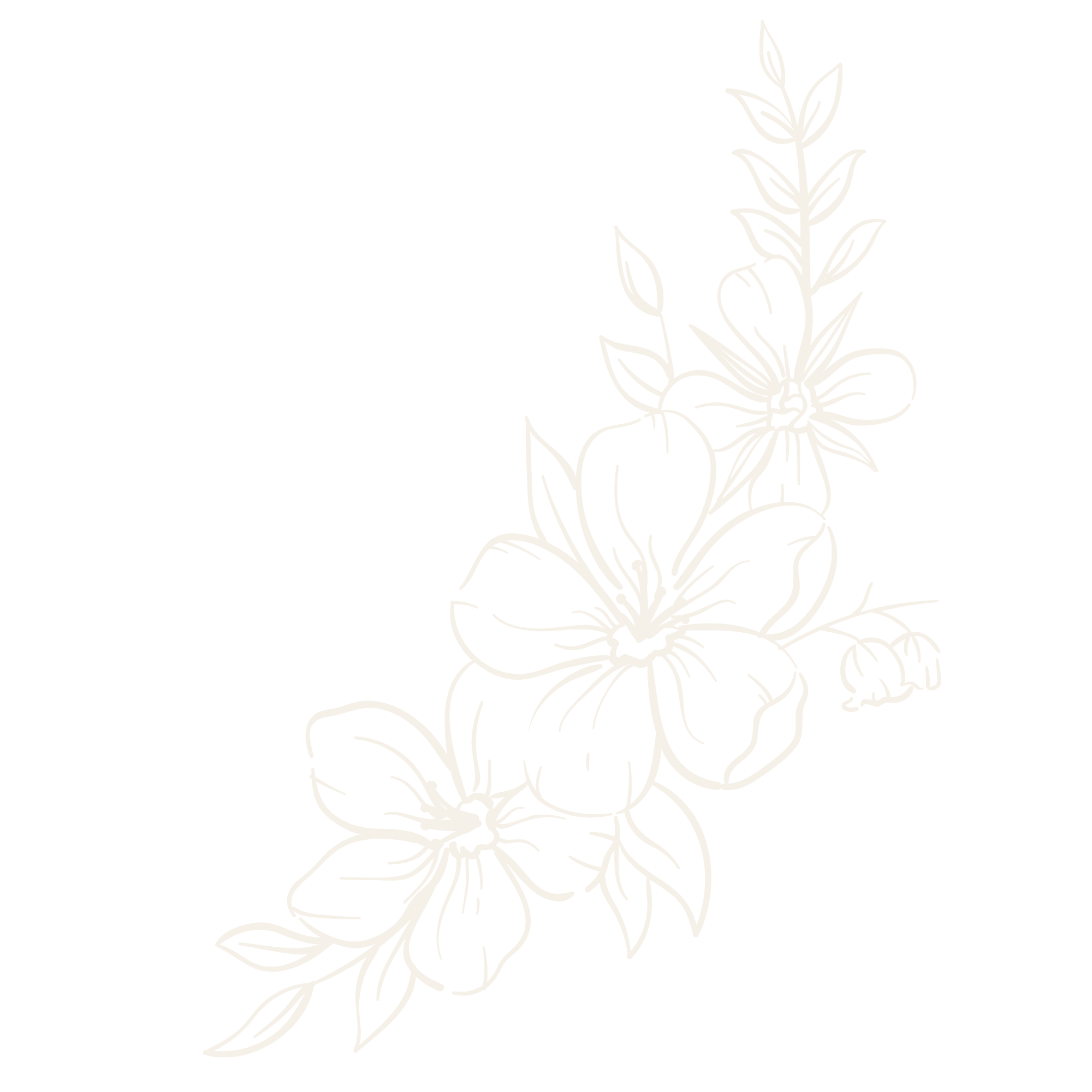 A white floral line art illustration on a black background.