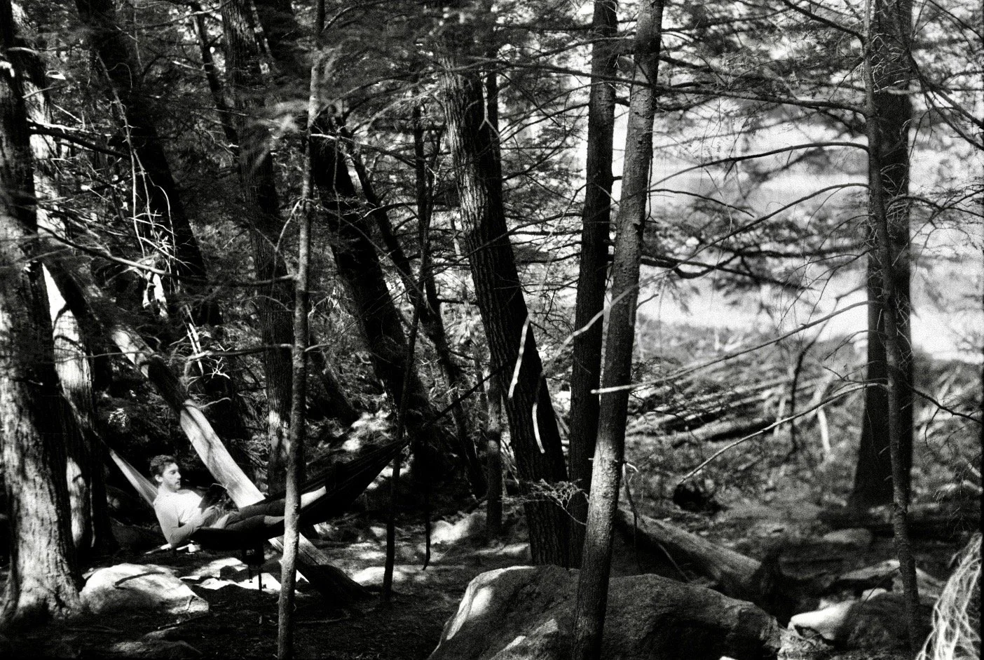 image0142_Original.jpg