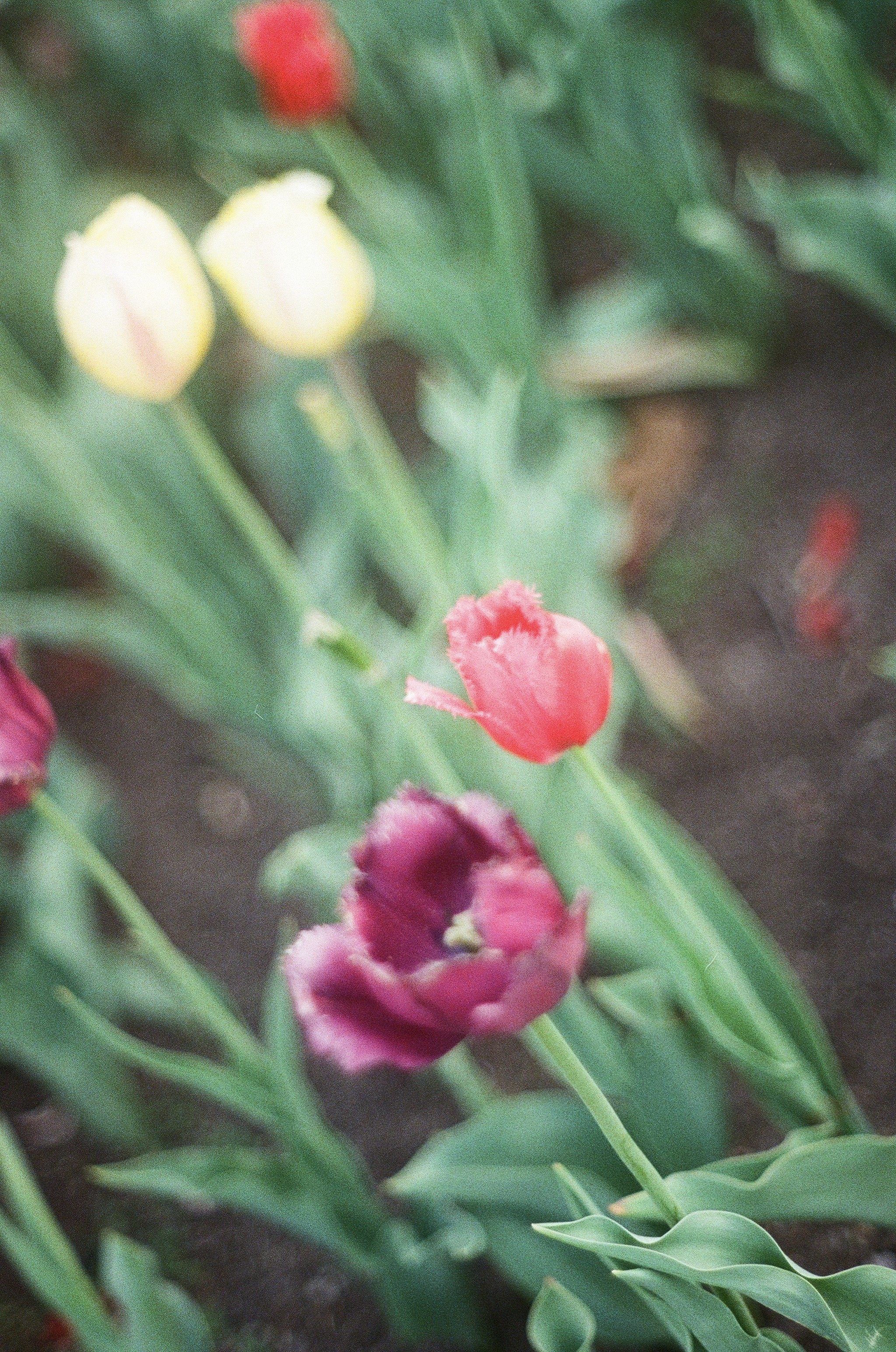 IMG_7959.jpg