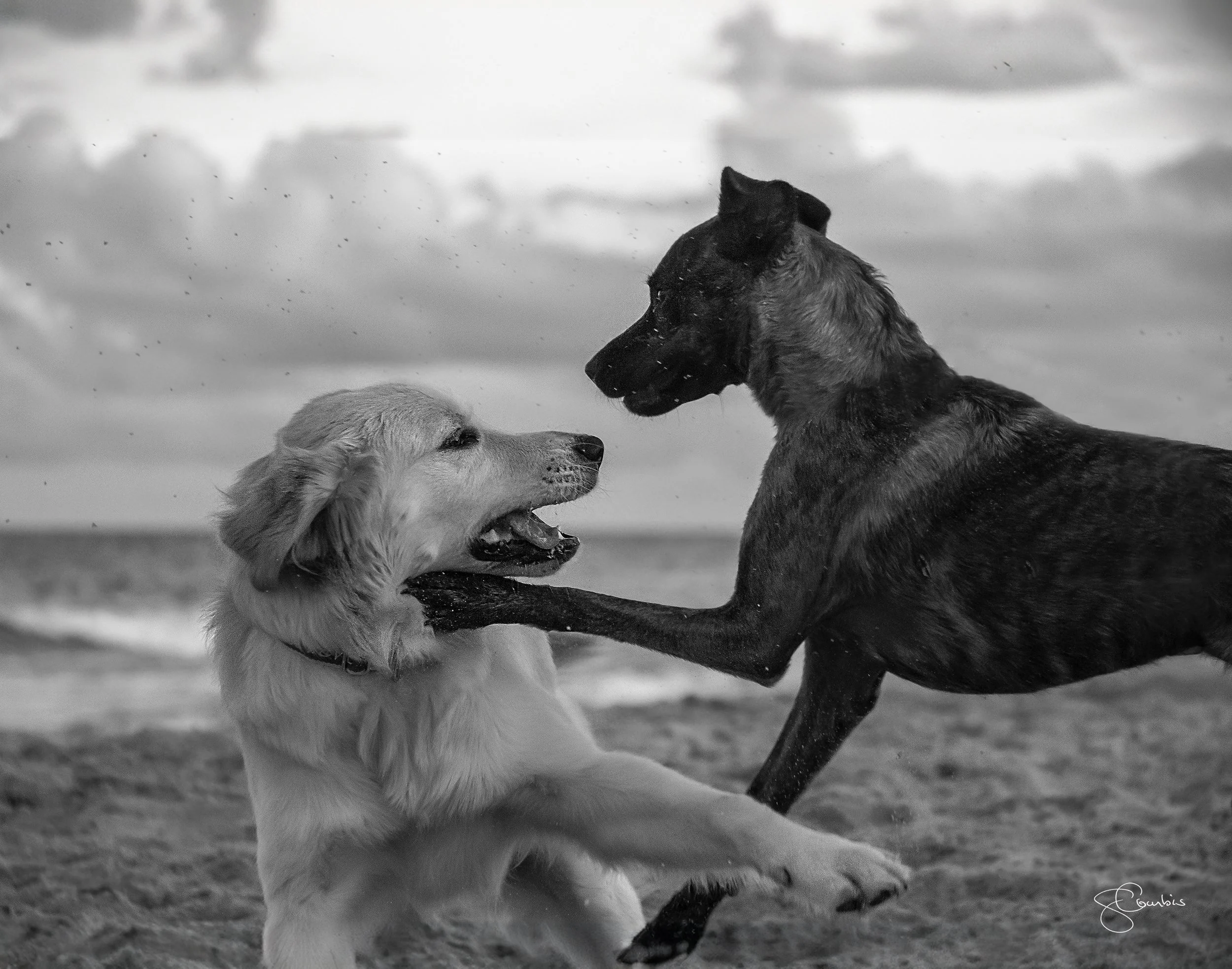 You got a Friend In Me.jpg