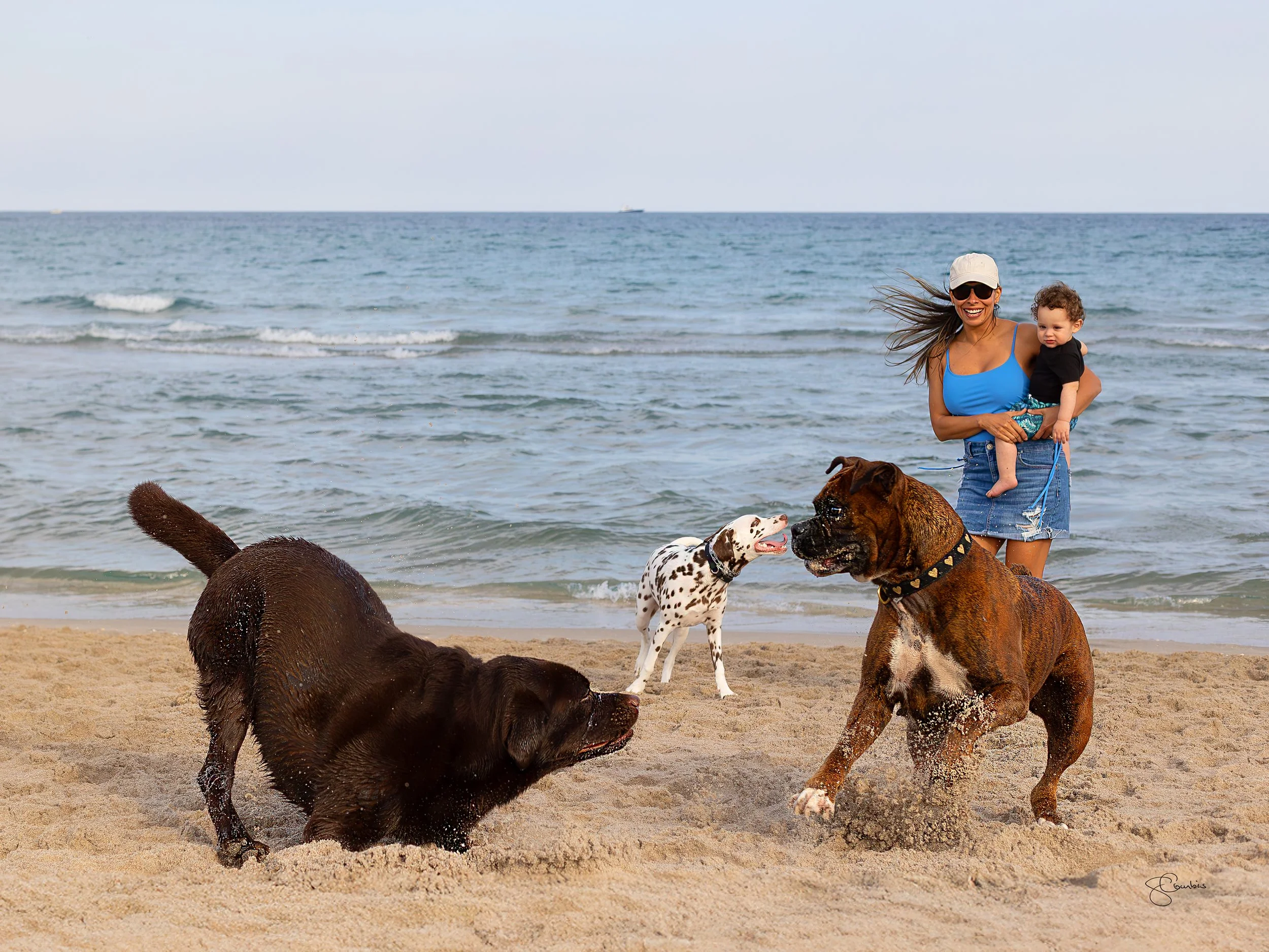 BC3A6835-Enhanced-NR-dog8 copy18x24.jpg