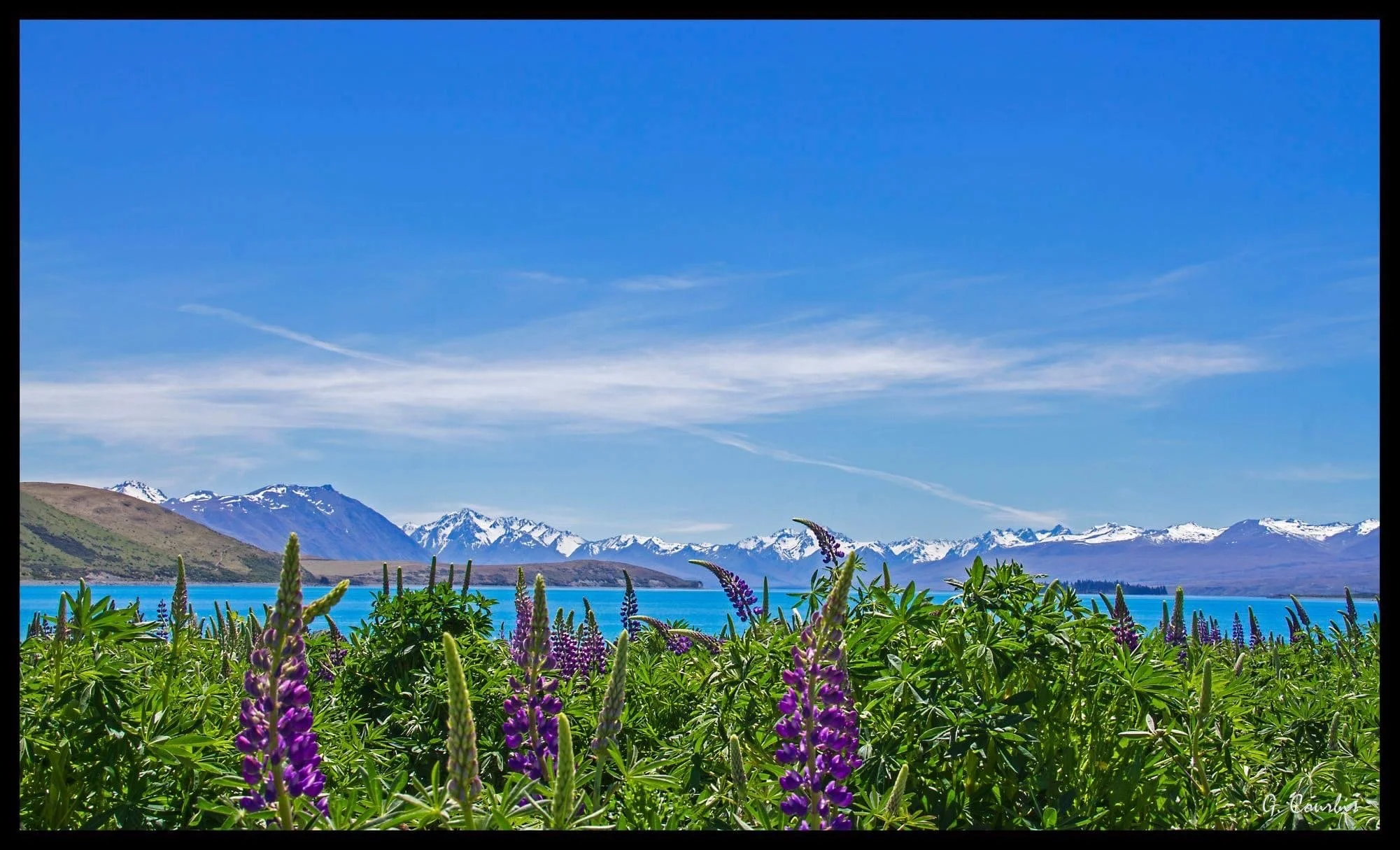 IMG_2220[2993].JPG