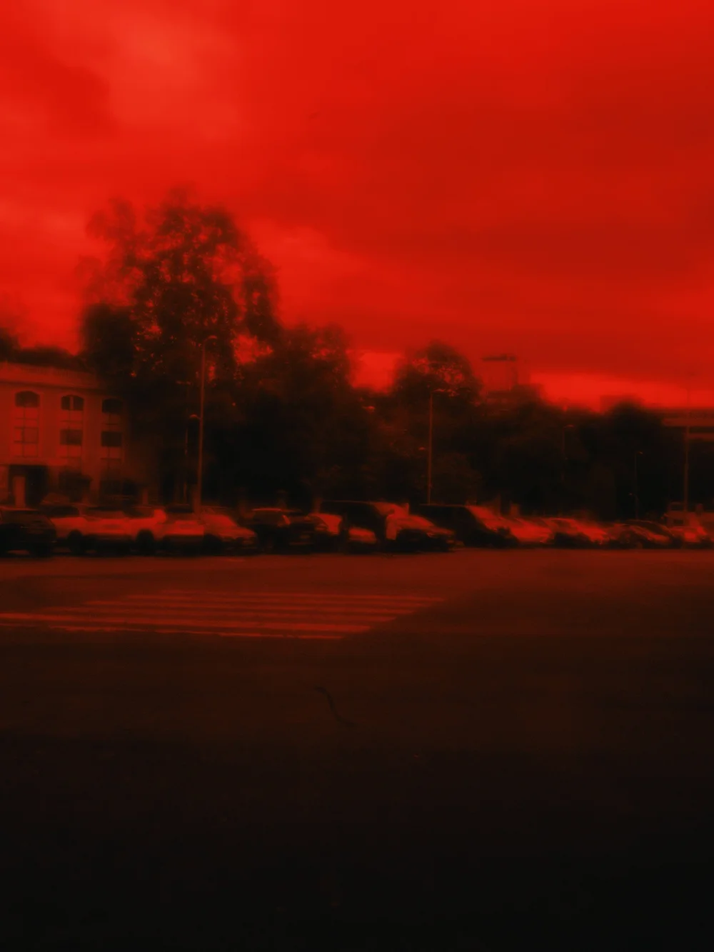 Digital photograph by Mateo Márquez