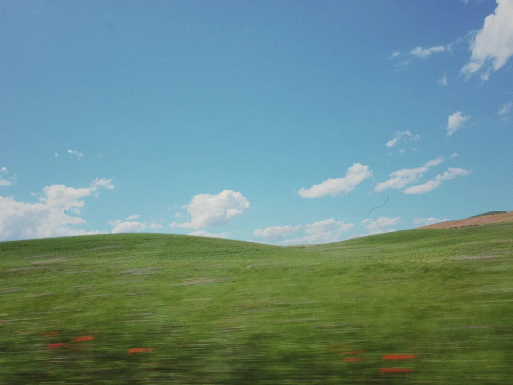 Digital photograph by Mateo Márquez