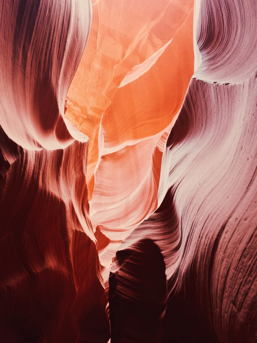 Digital photograph by Mateo Márquez