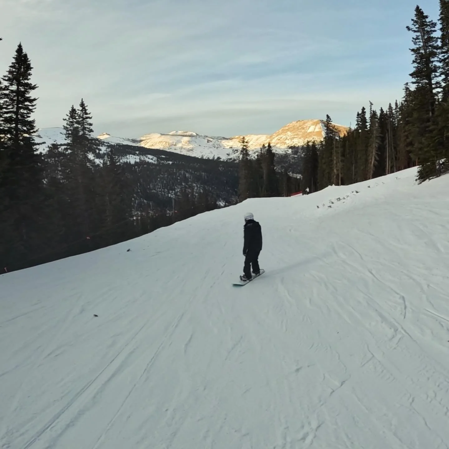Best. Trip. Ever.
 
01/03/26