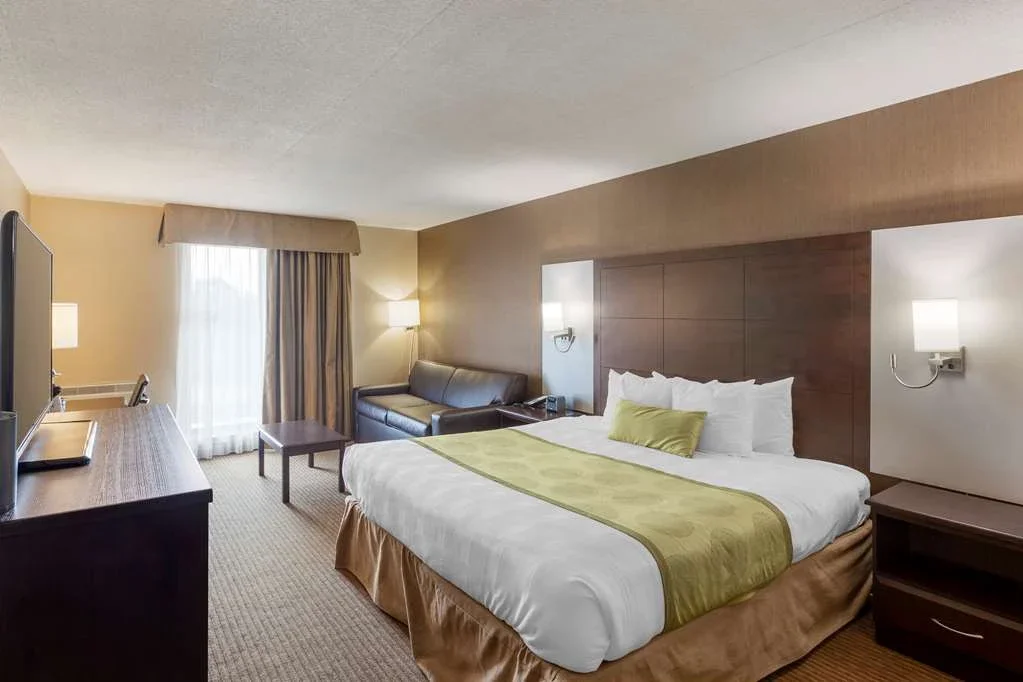 Hotel room with king-sized bed, two nightstands, sofa, coffee table, television, and window with curtains.