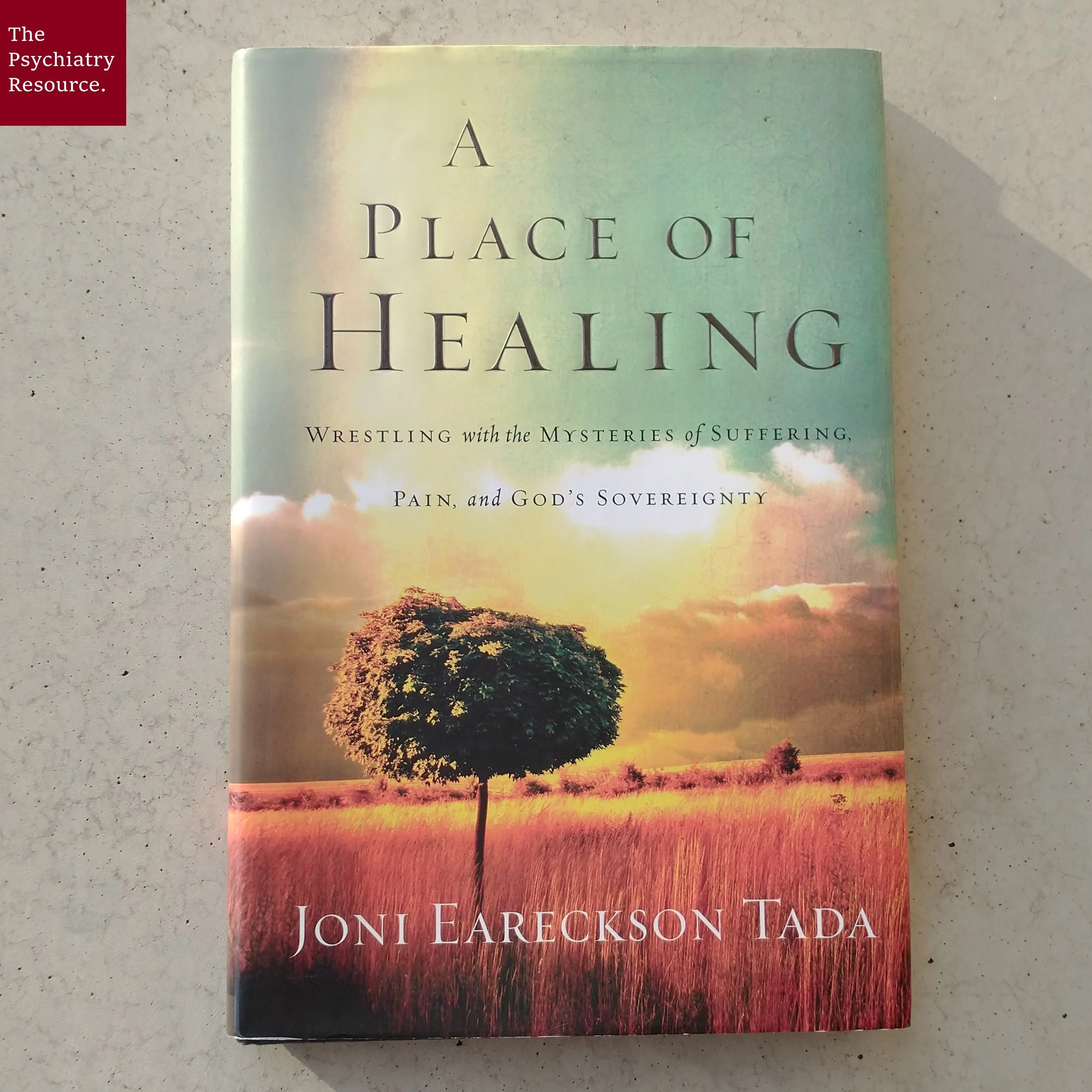 Book Review – A Place of Healing