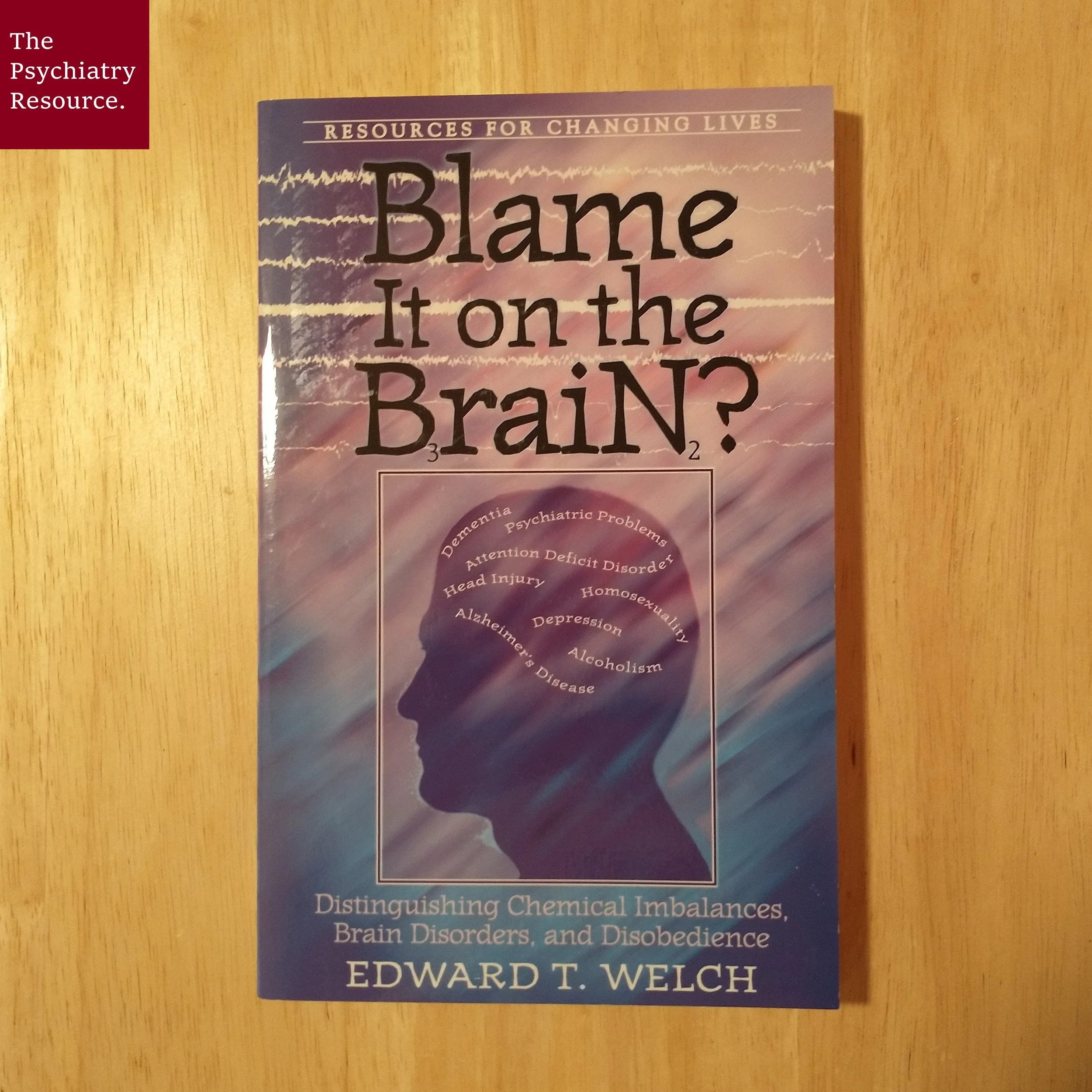 Book Review – Blame It on the Brain?
