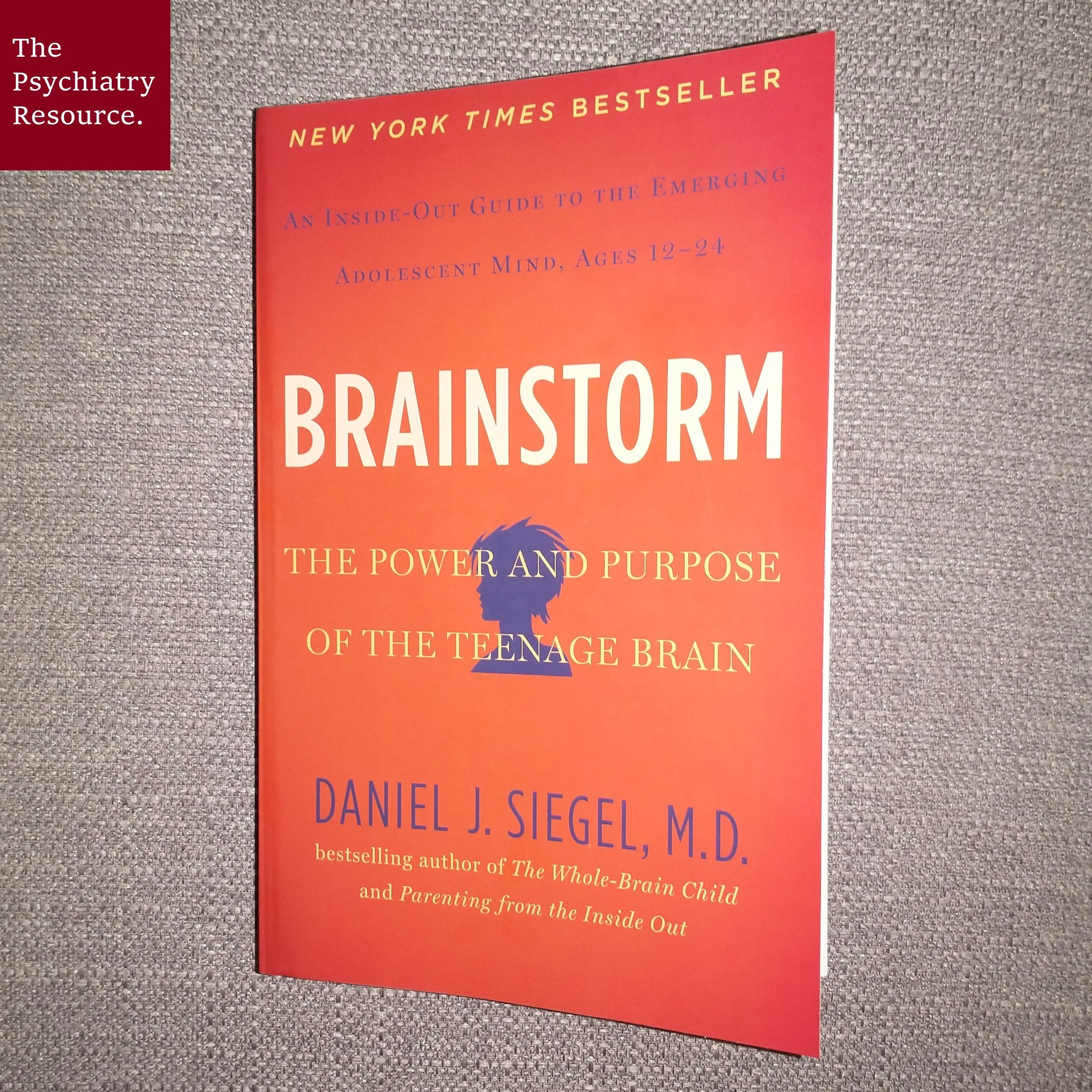 Book Review – Brainstorm