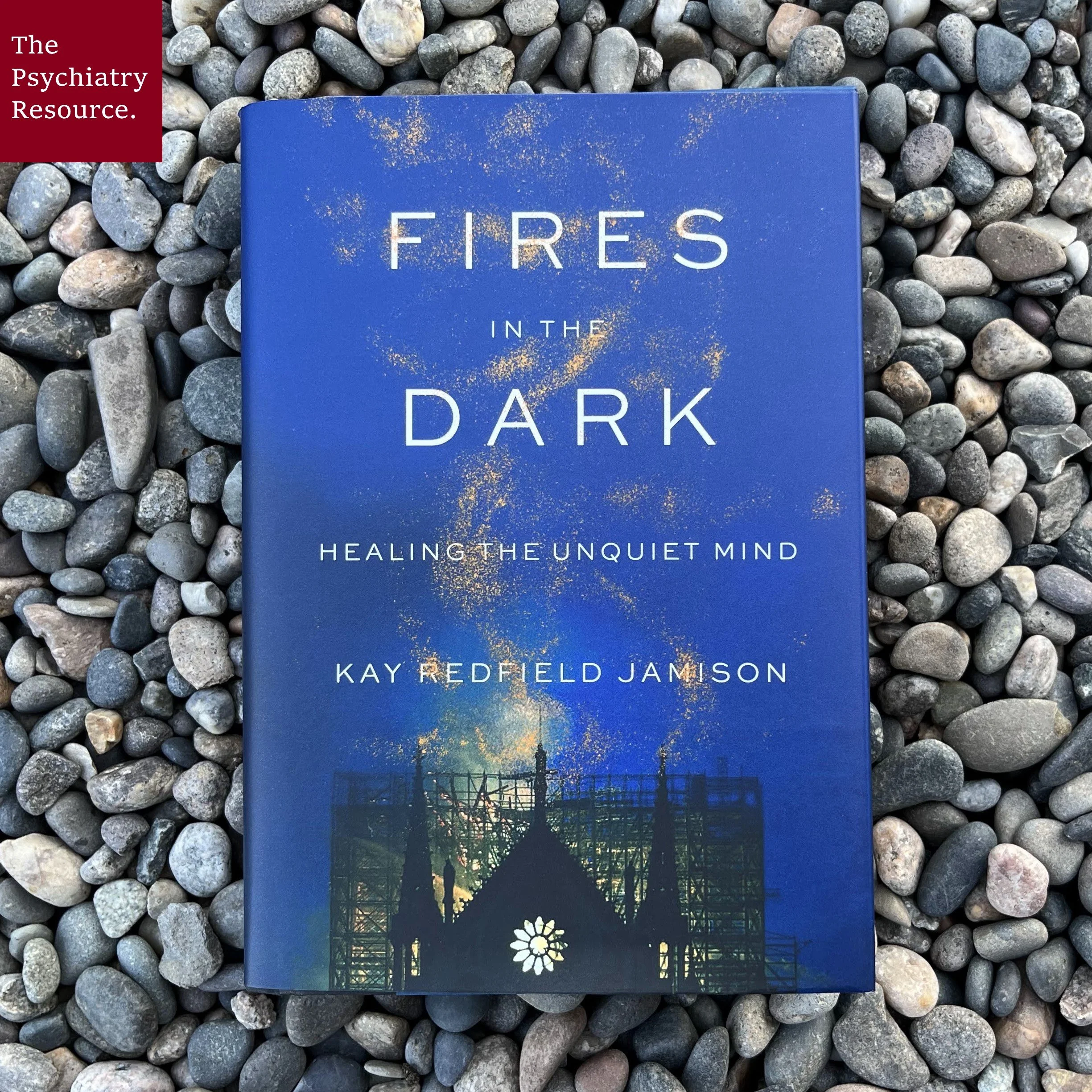 Book Review – Fires in the Dark