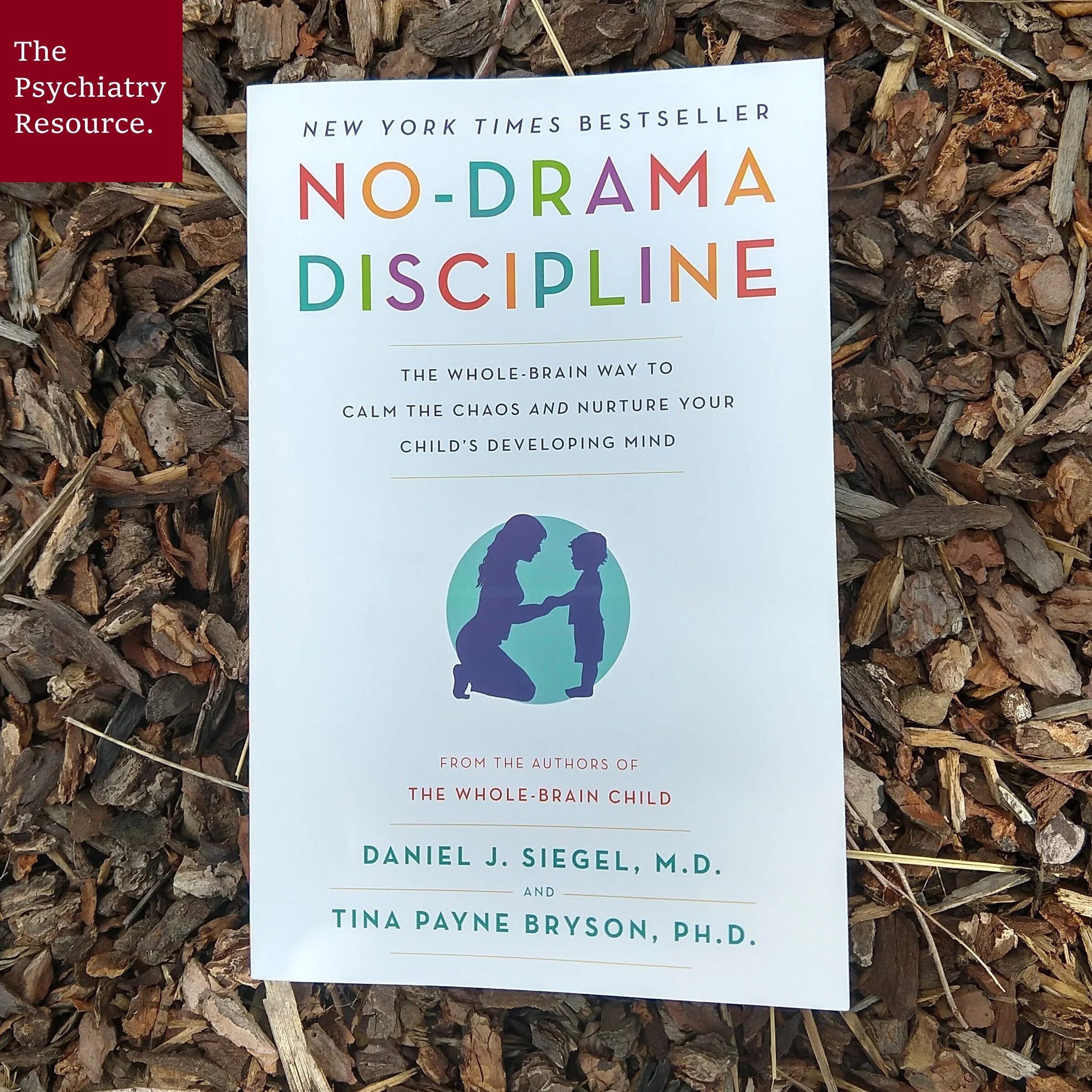 Book Review – No-Drama Discipline