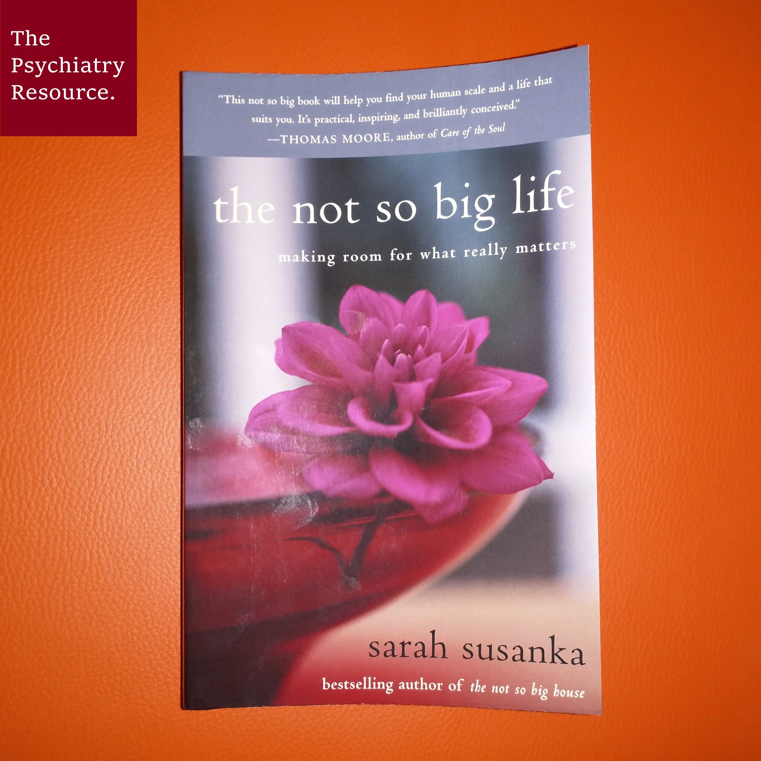 Book Review – The Not So Big Life
