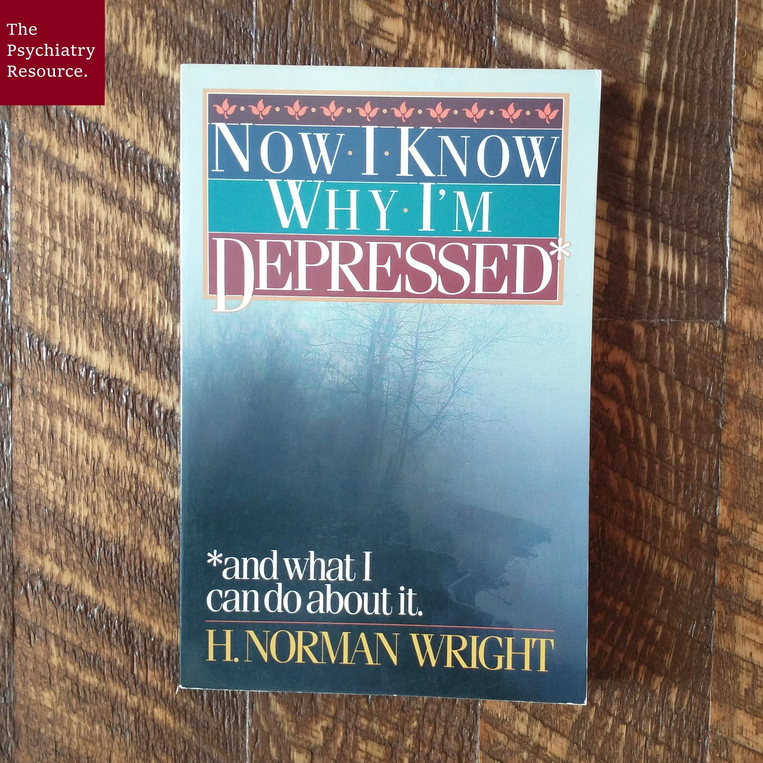 Book Review – Now I Know Why I’m Depressed