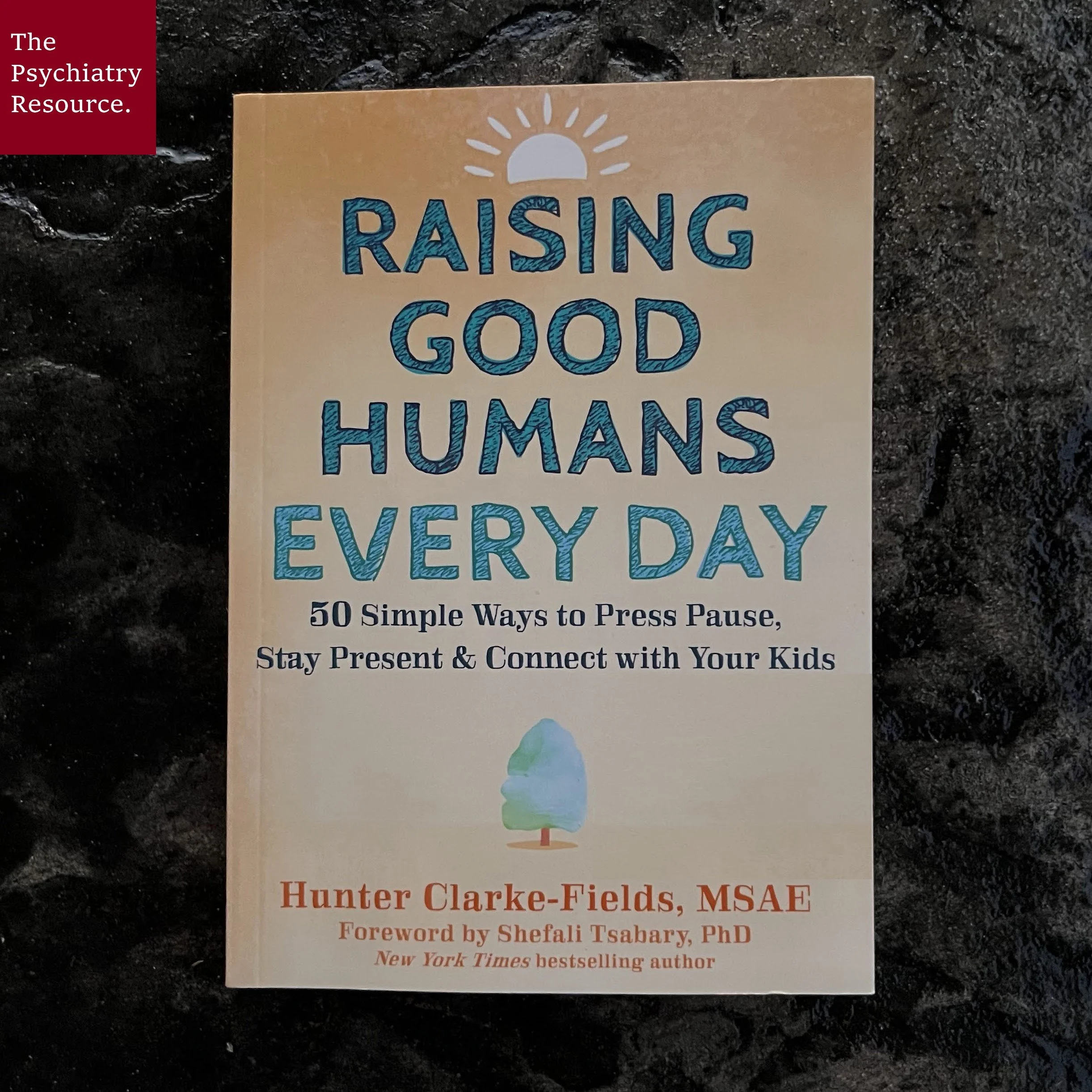 Book Review – Raising Good Humans Every Day