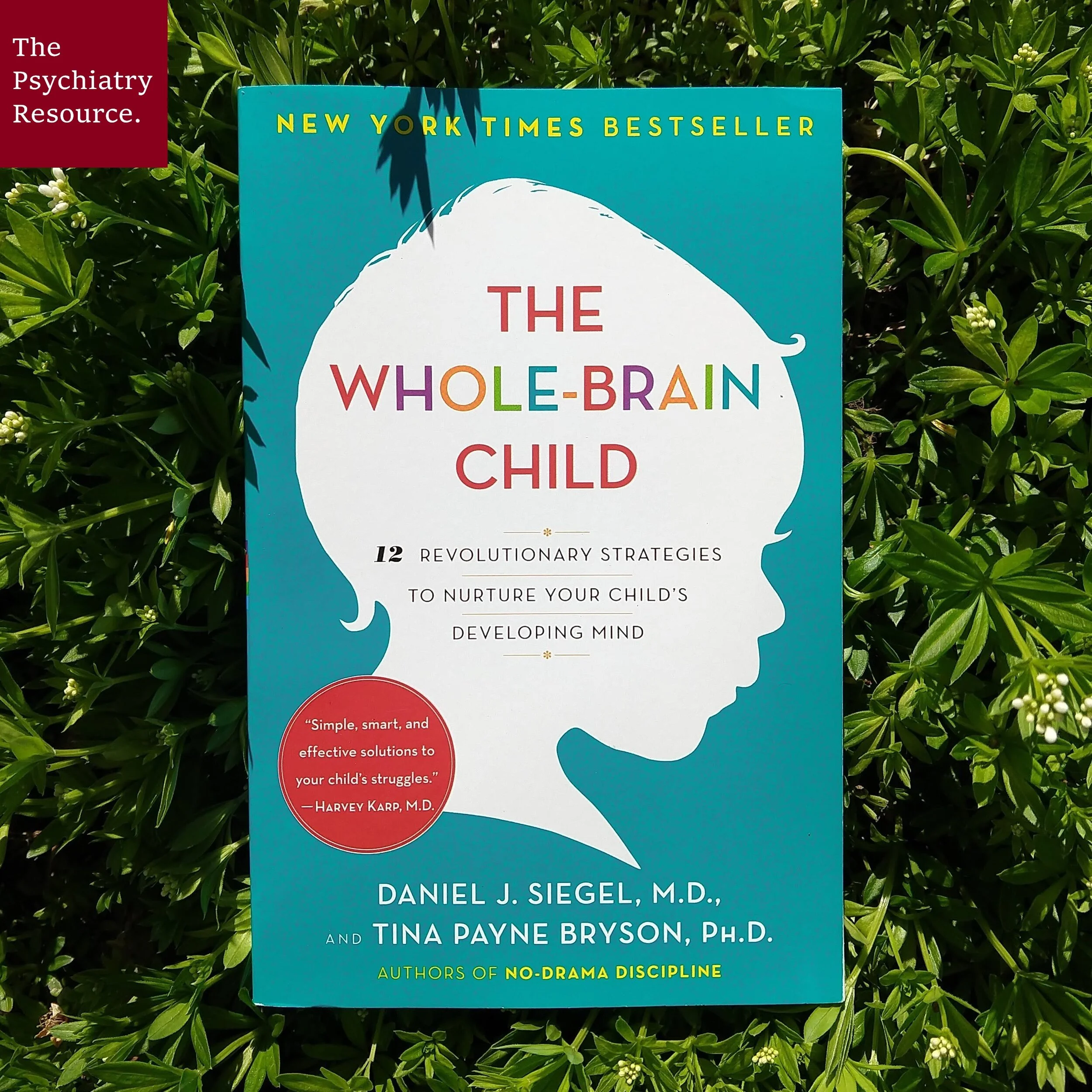 Image: The Whole-Brain Child by Len Lantz (CC BY-NC-ND)