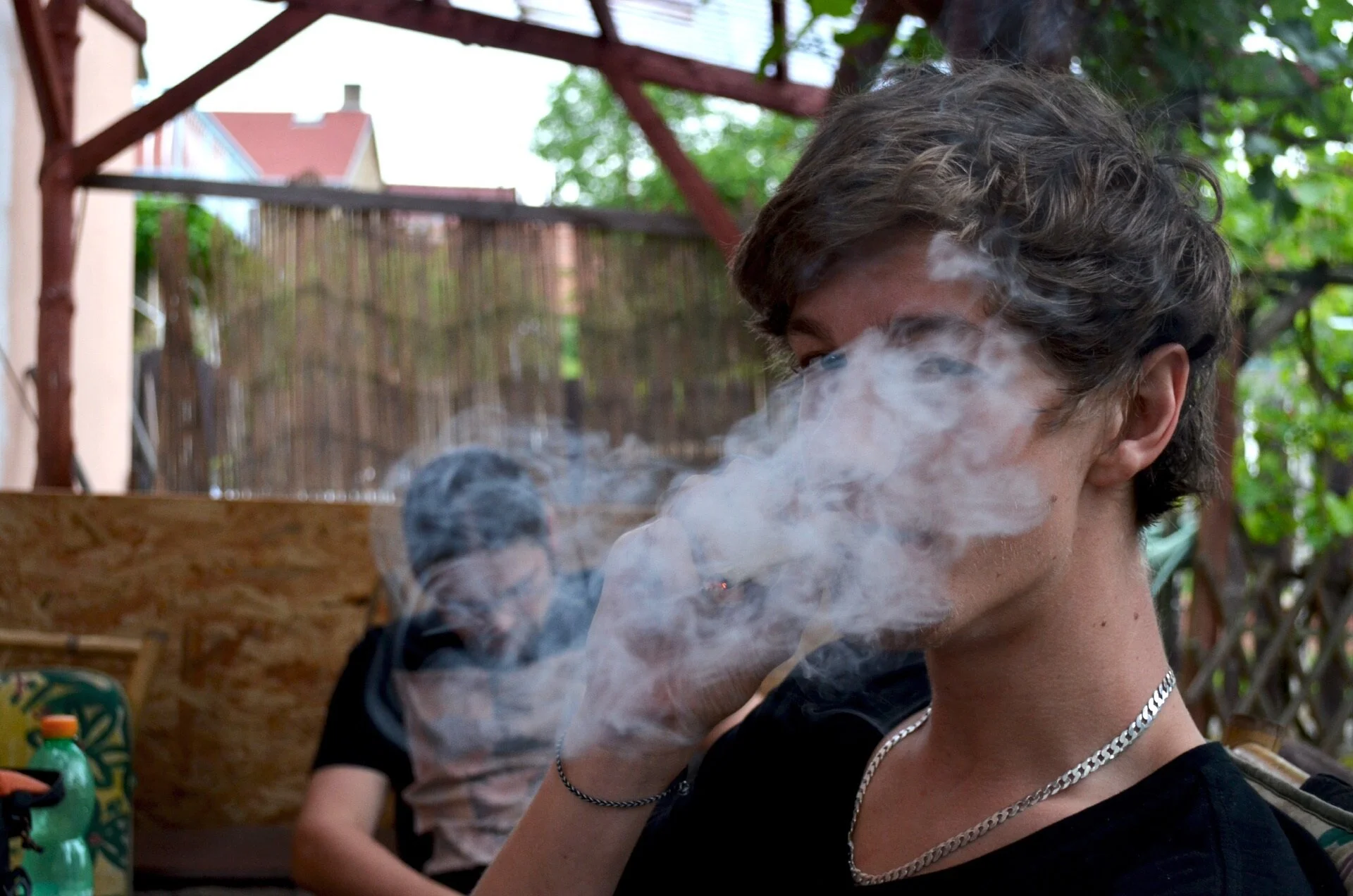 Image: Weed by Jantaaa (CC0)