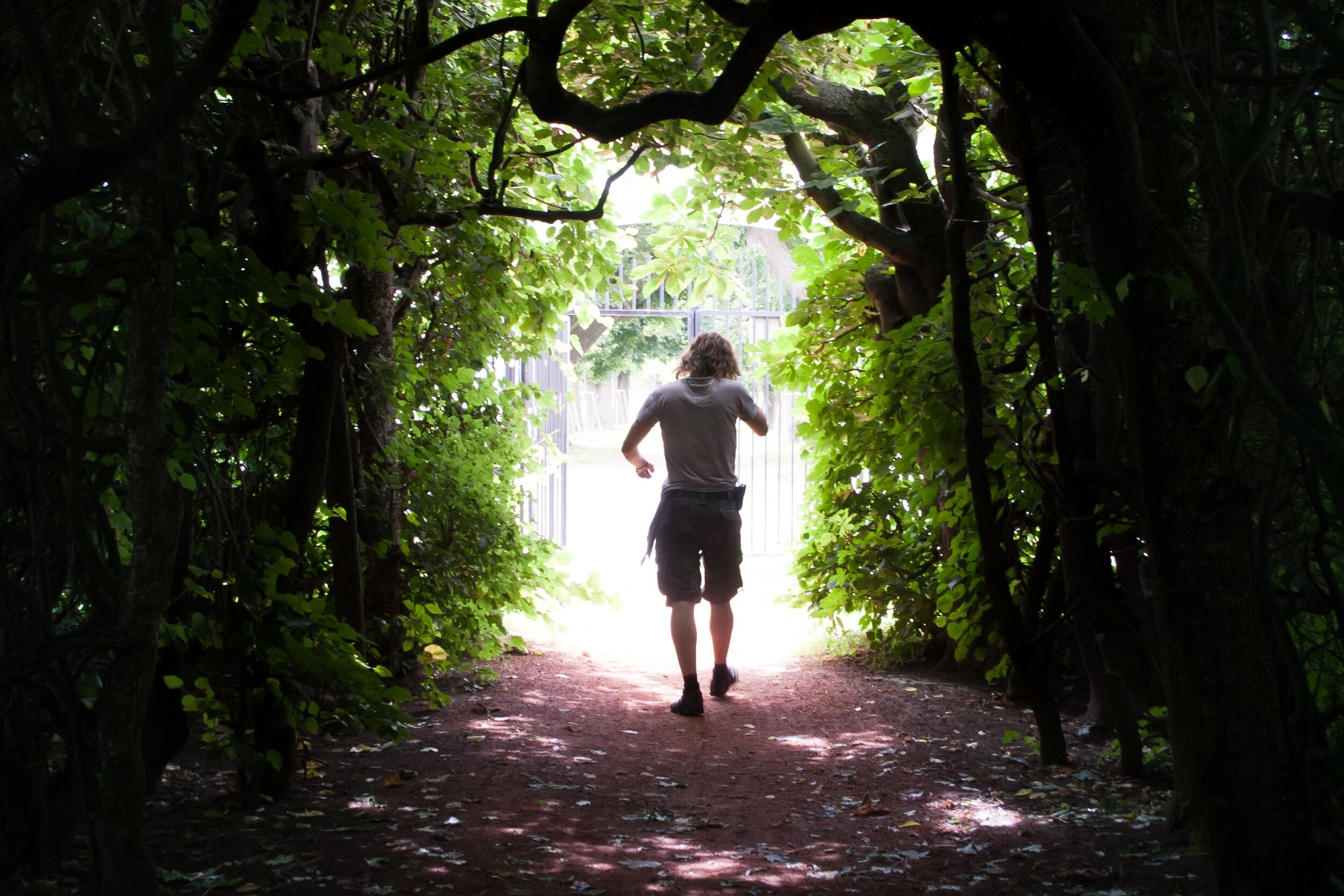 Image: Path by Jeroným Pelikovský (CC0)