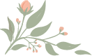 Decorative floral illustration with leaves and small pink buds