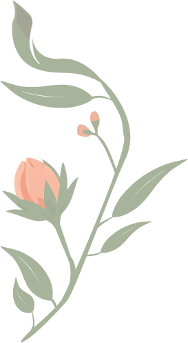 A simple illustration of a plant with a peach-colored flower and green leaves on a black background.