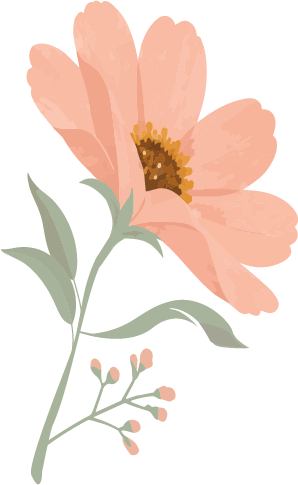 Illustration of a pink flower with green leaves and small buds.