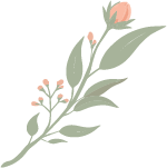 A delicate illustration of a leafy plant with small pink flowers at the tips of the branches.