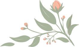 Illustration of a delicate pink flower with green leaves and small buds