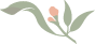 Simple illustration of a sprouting plant with pink and green leaves.