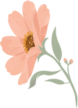 A pink flower with a yellow center and green leaves