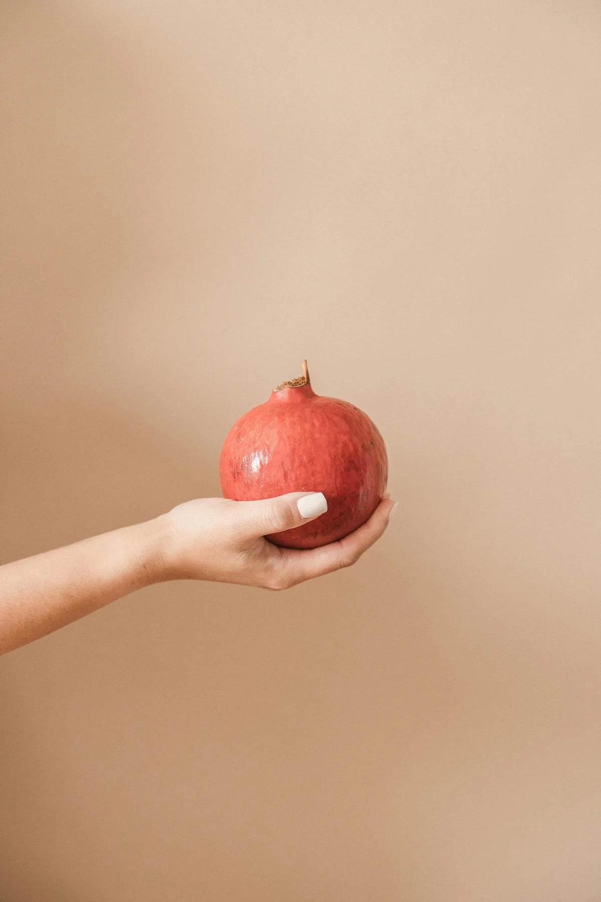 Choosing the Right Expert: Nutritionist, Registered Dietitian, or Functional Dietitian?