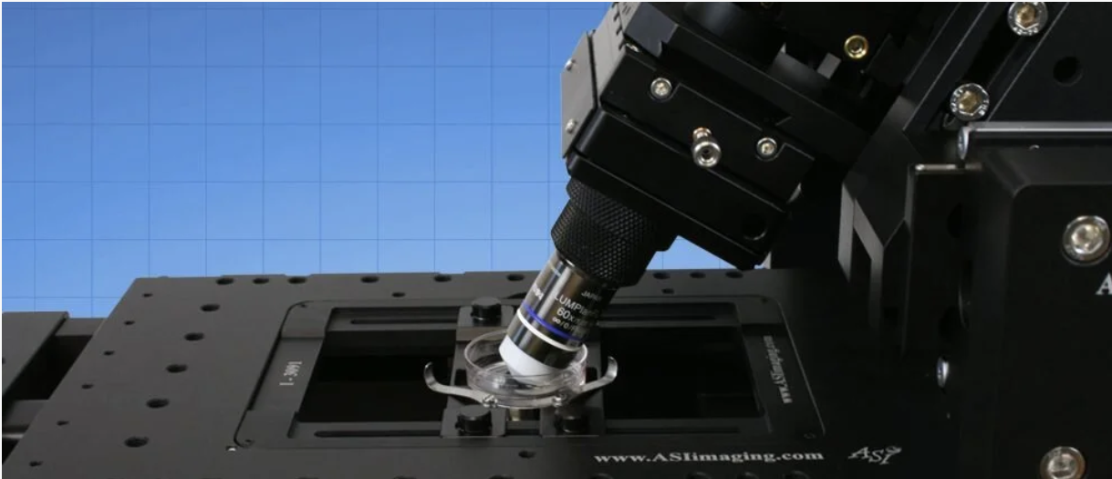 Product Photography Single Inverted Selective Plane Illumination Microscopy (iSPIM) Configuration