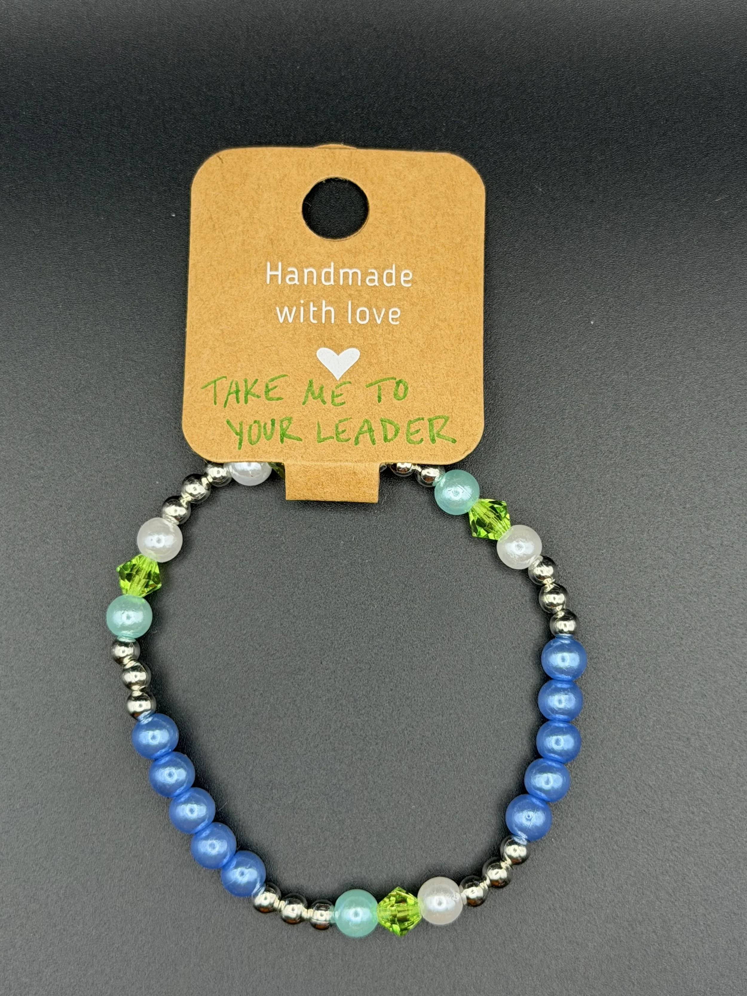 Take Me to Your Leader.jpeg