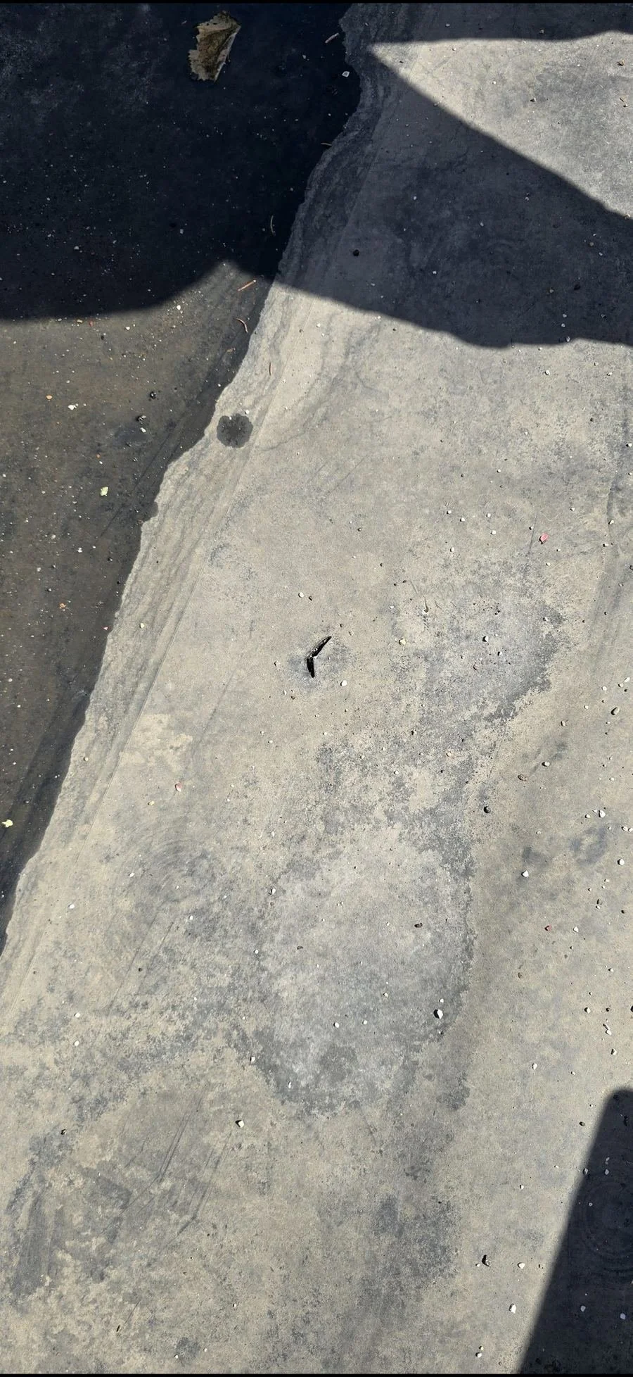 Before: damage in an EPDM rubber roof membrane on a flat roof