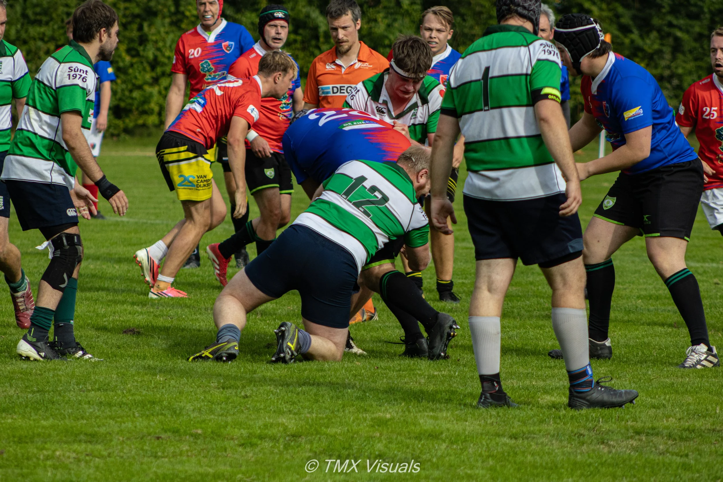 IMG_6554.jpg
