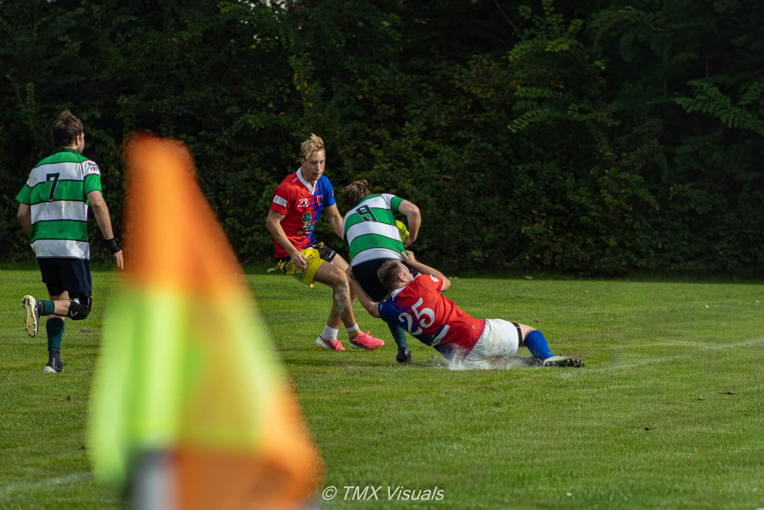 IMG_6720.jpg