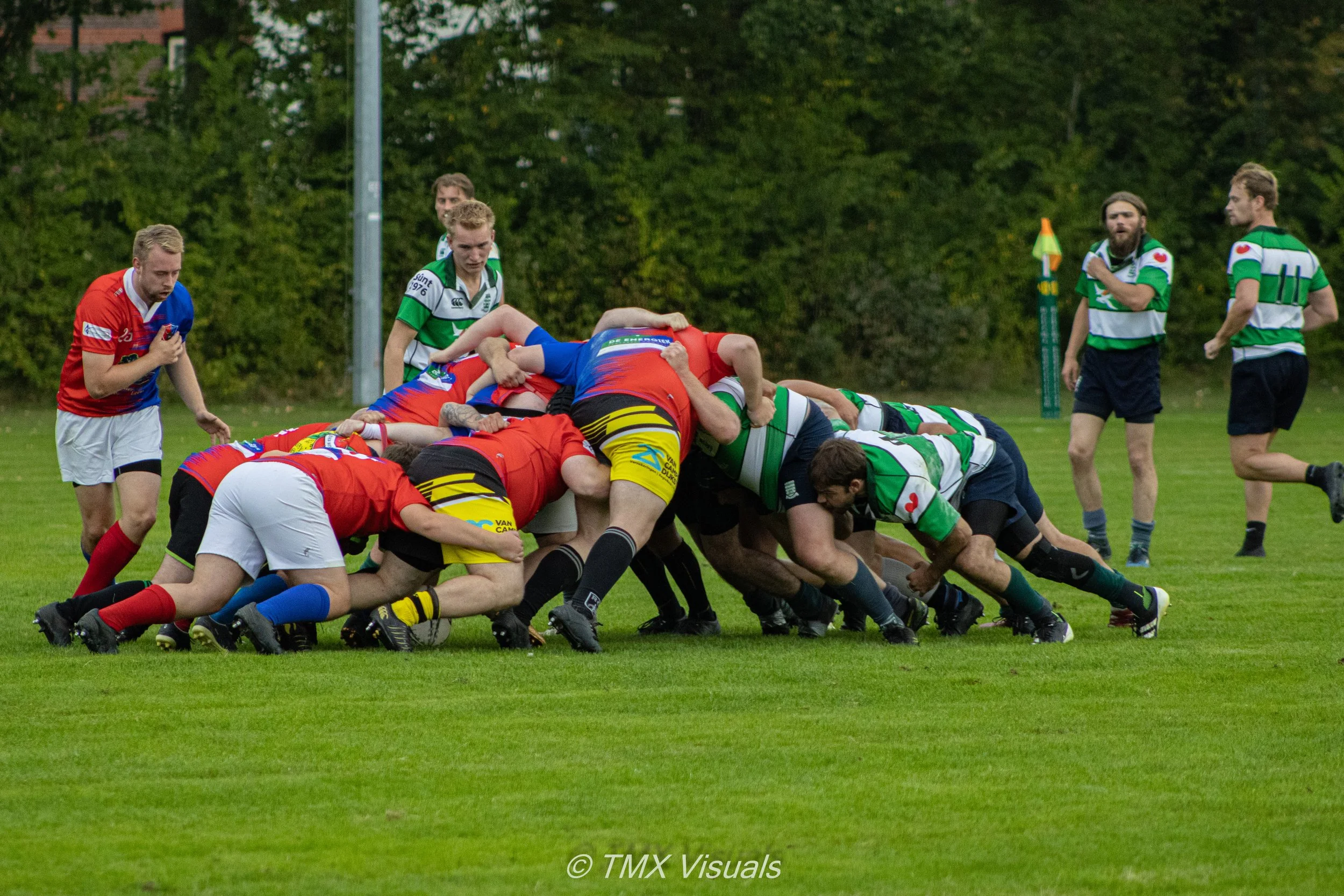 IMG_5889.jpg