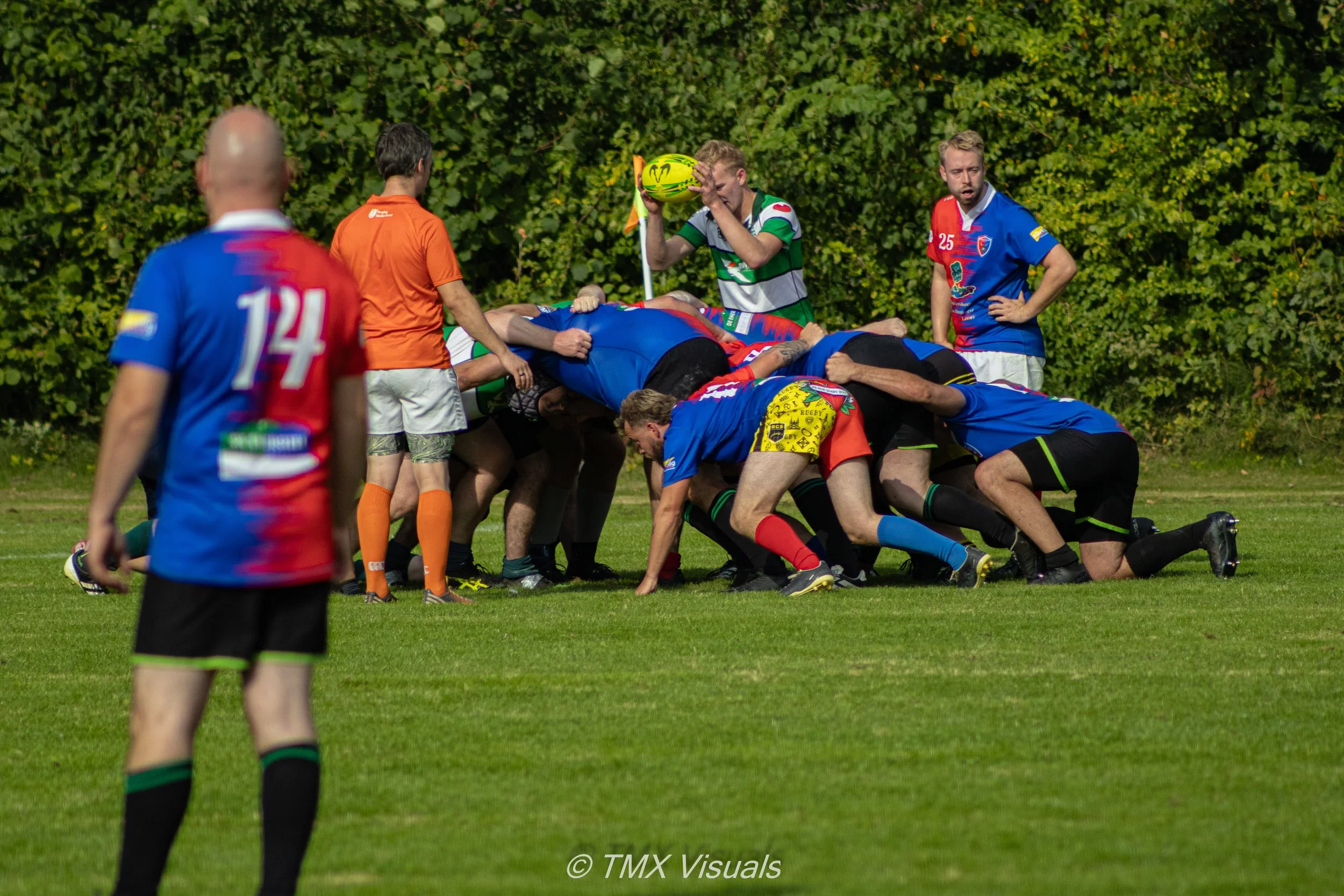 IMG_6785.jpg