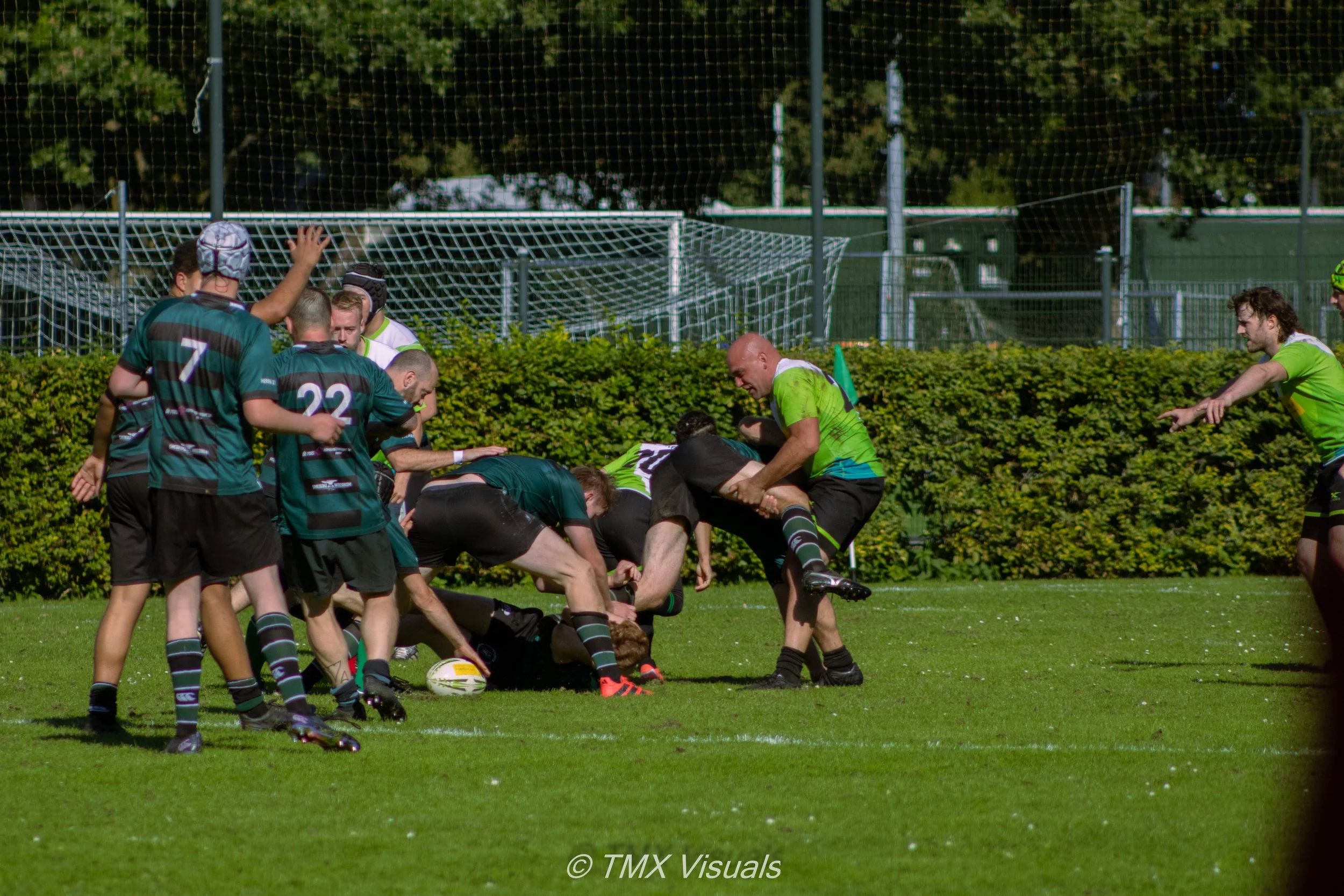 IMG_8511.jpg