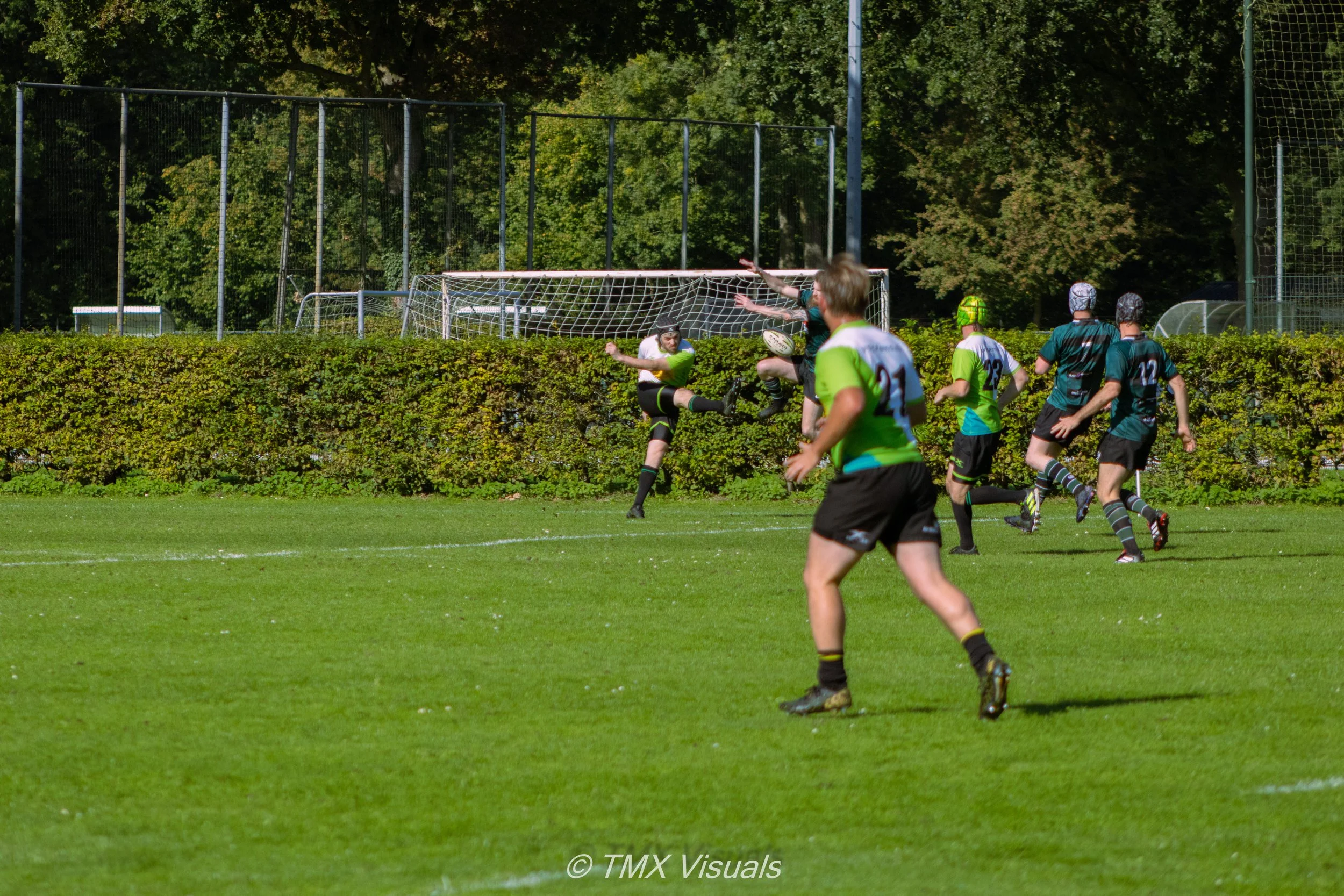 IMG_7331.jpg