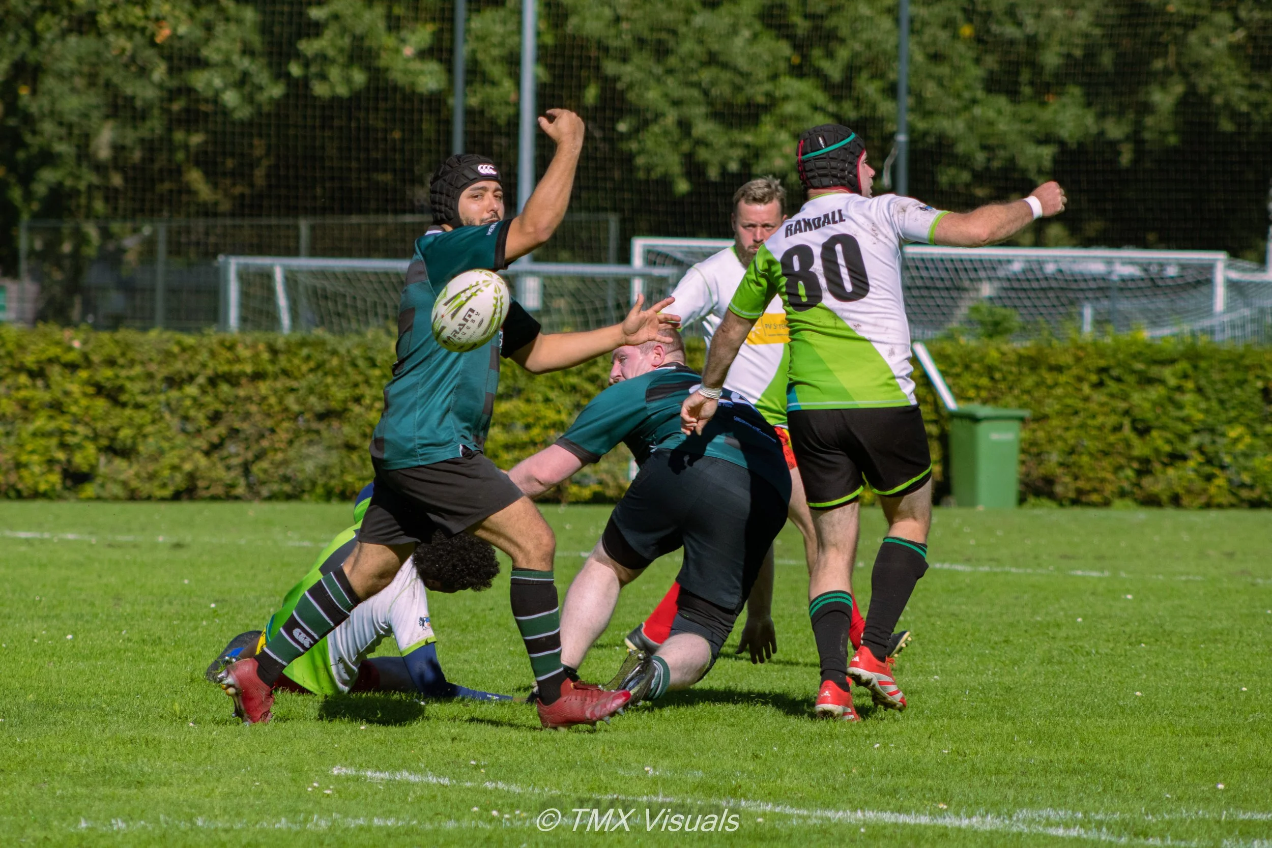 IMG_8472.jpg