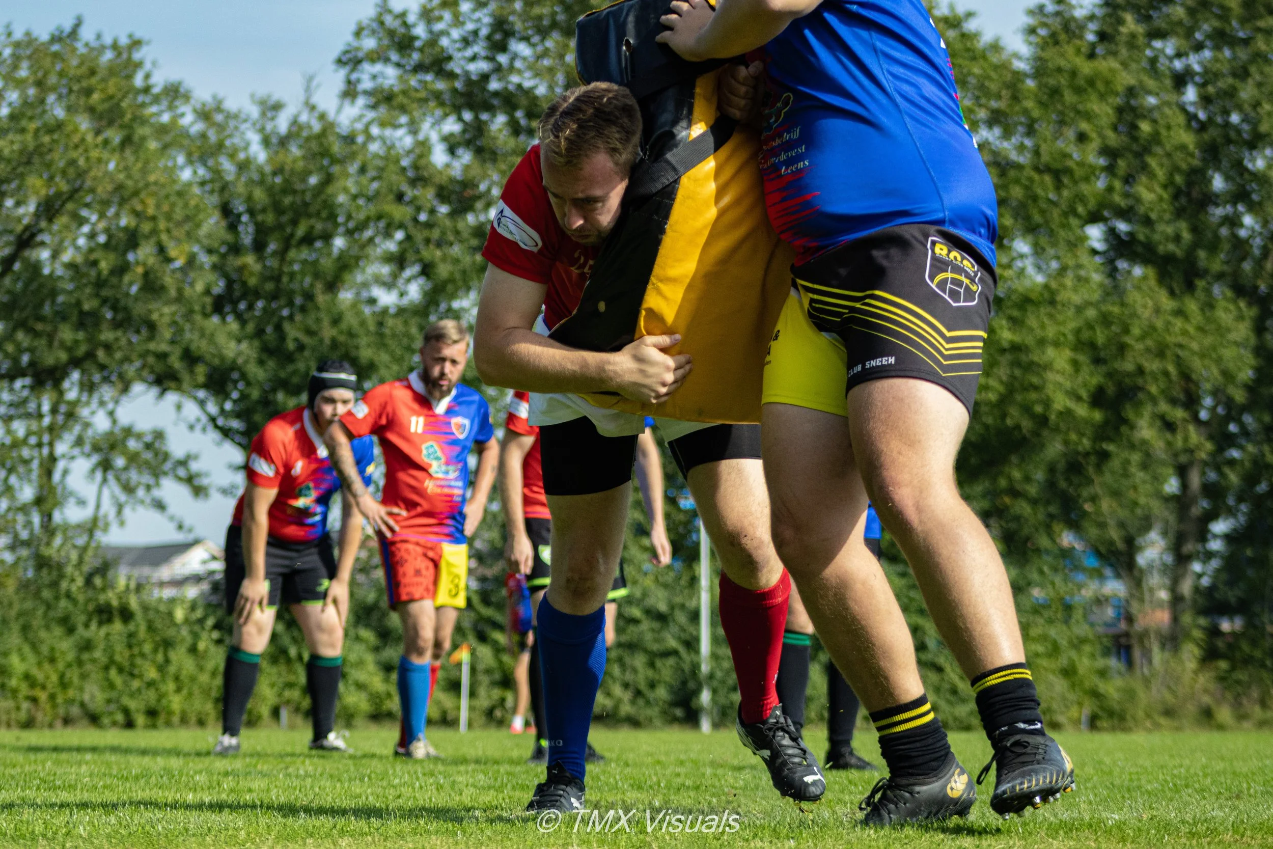 IMG_5343.jpg