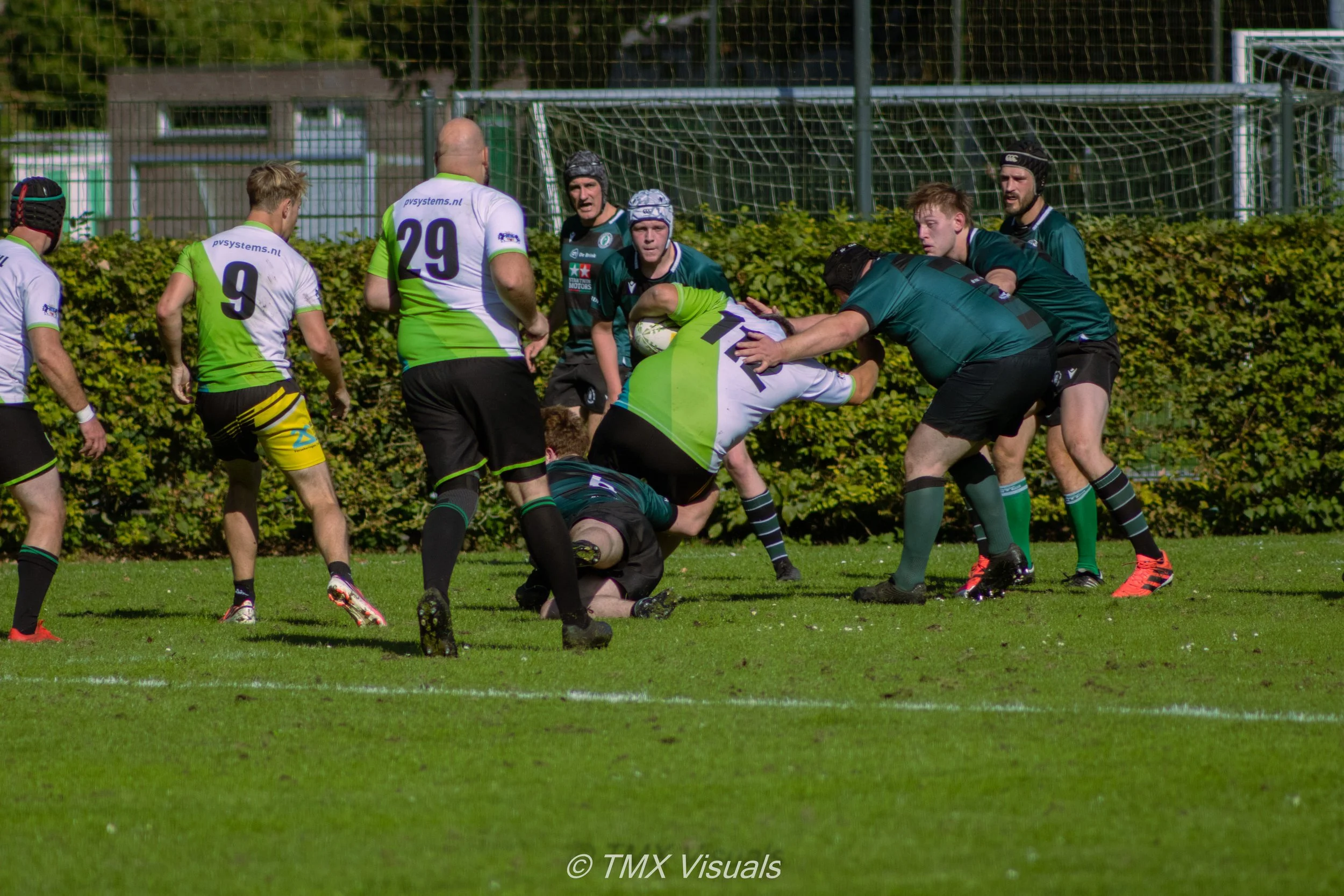 IMG_7884.jpg