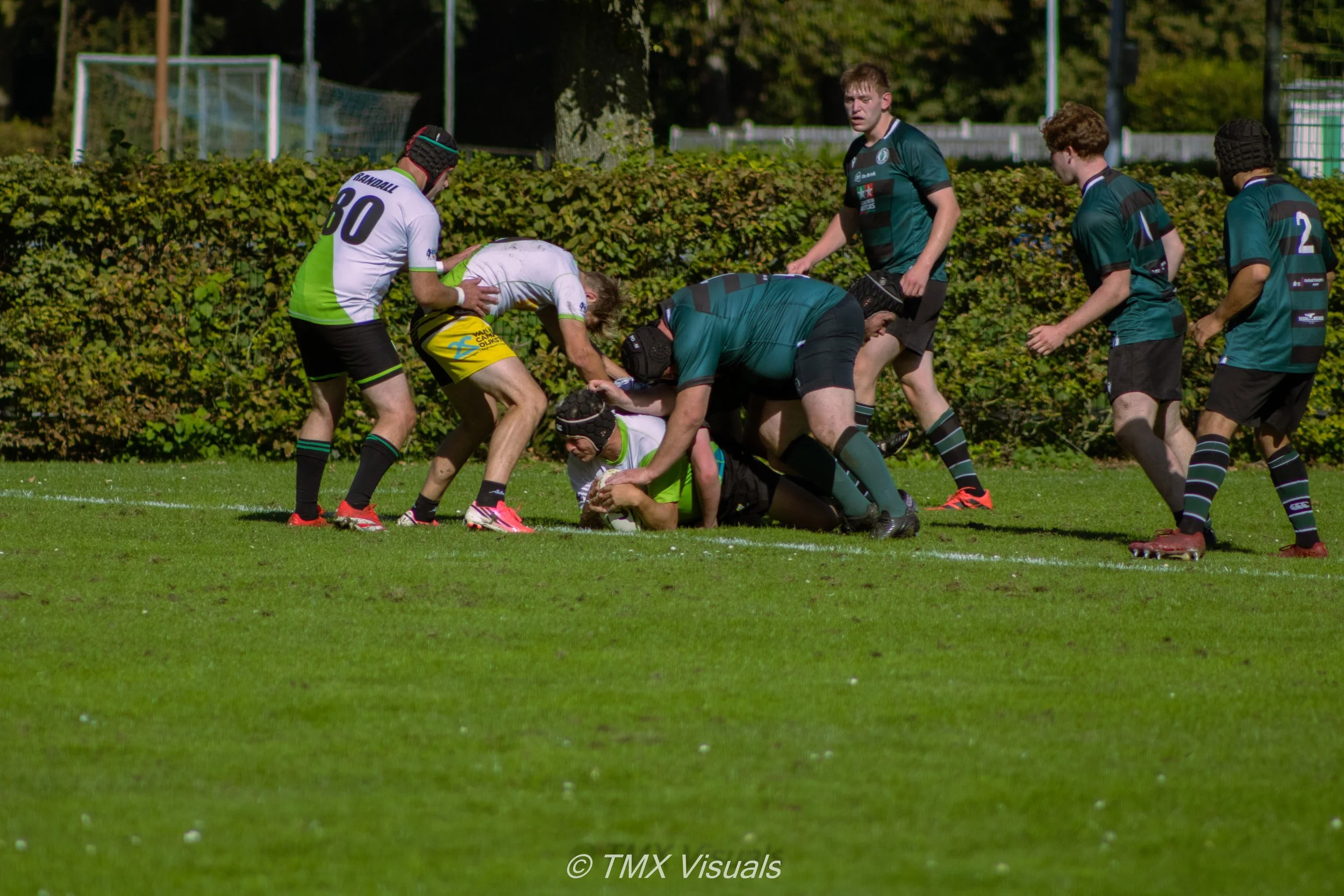 IMG_7873.jpg