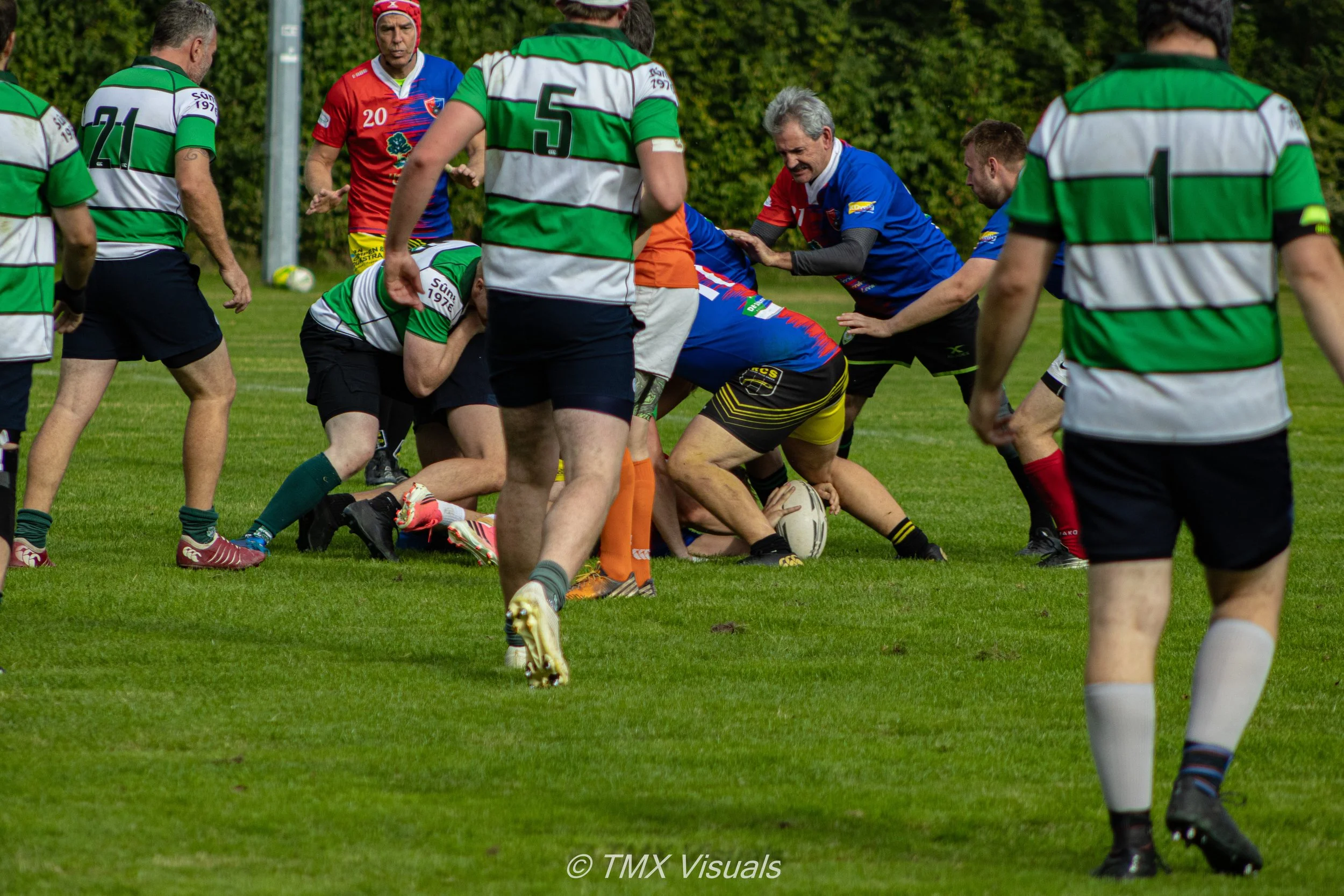 IMG_6550.jpg