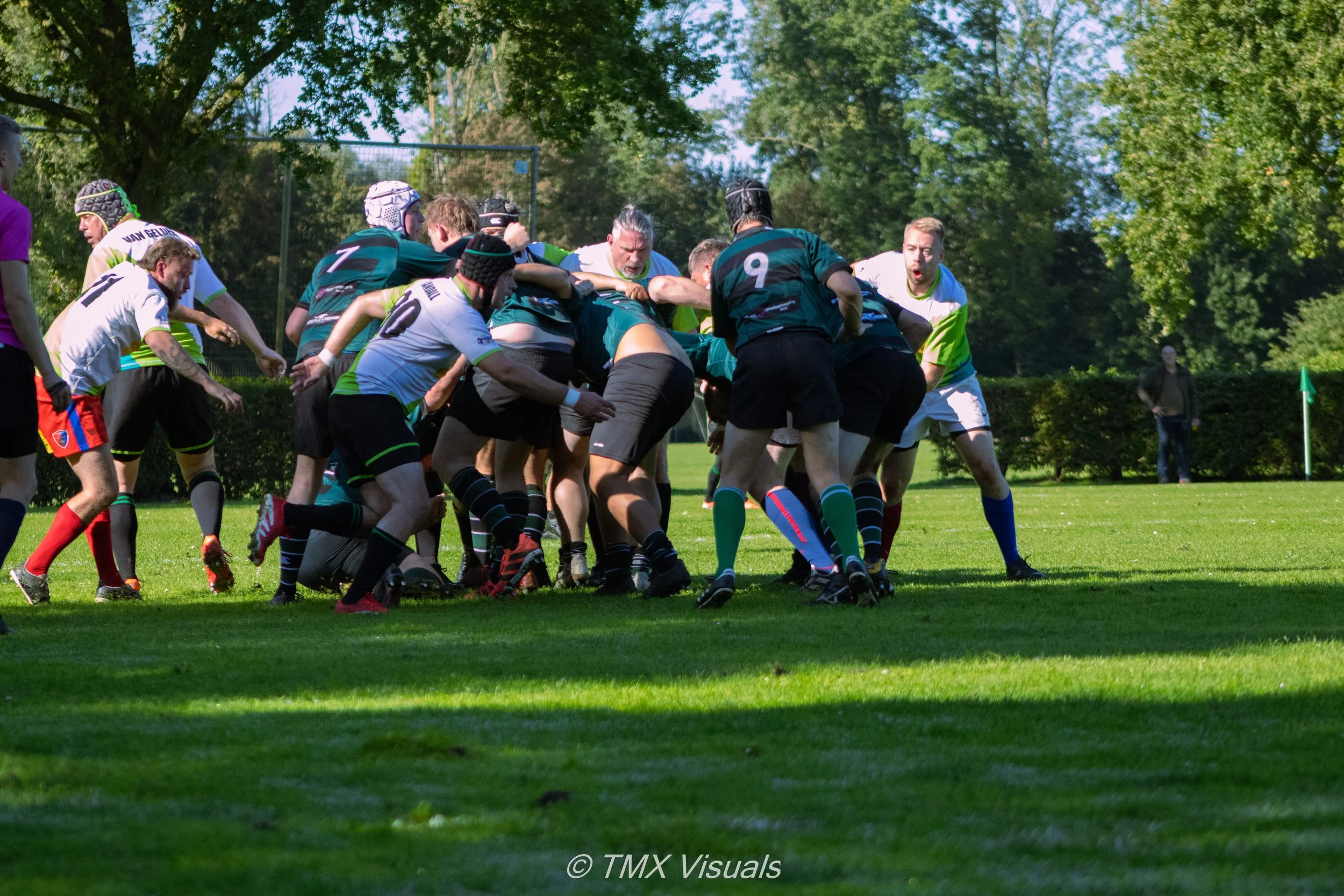 IMG_7986.jpg