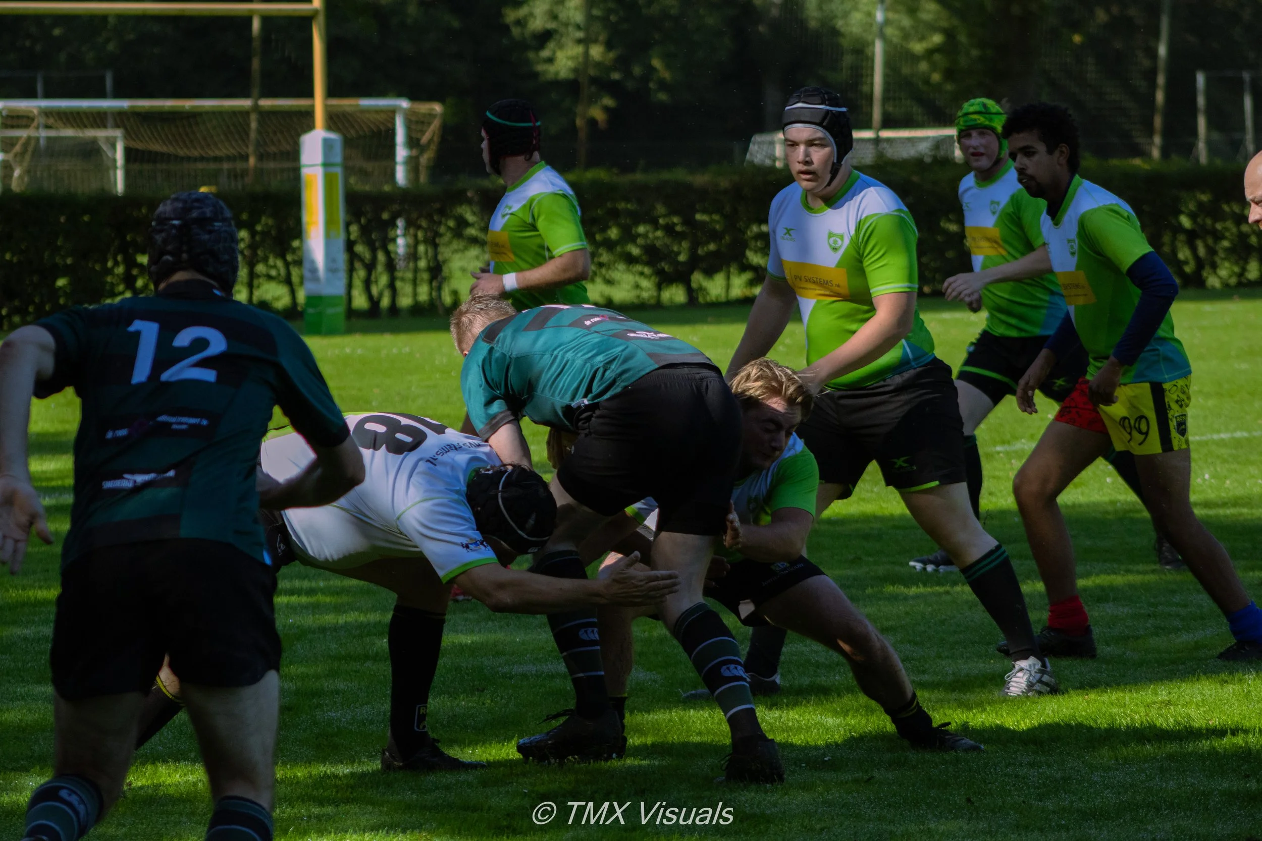 IMG_7384.jpg