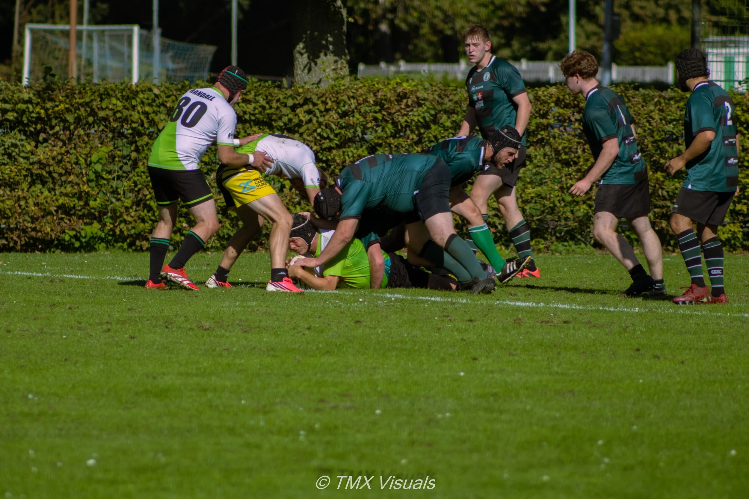 IMG_7874.jpg