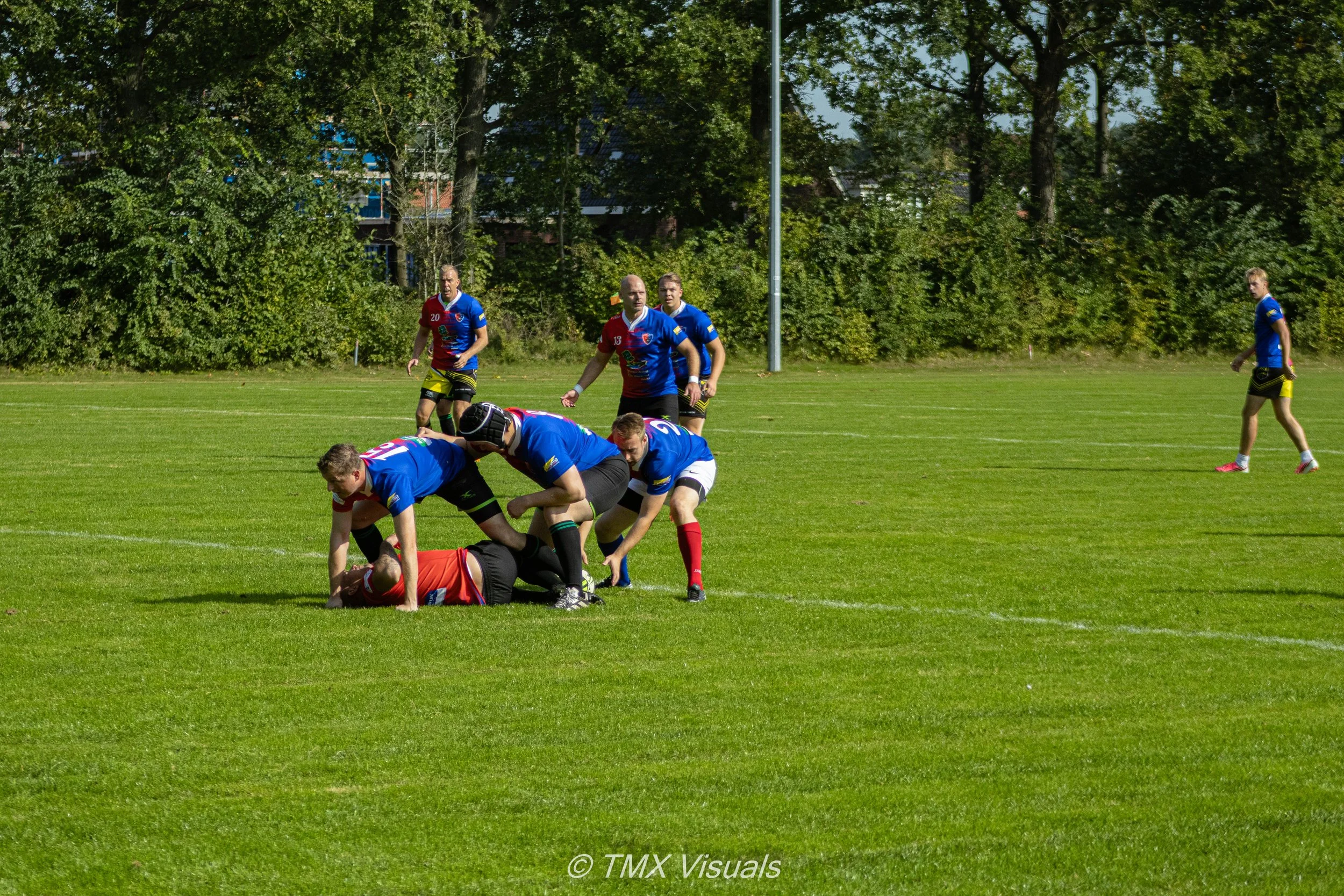 IMG_5207.jpg